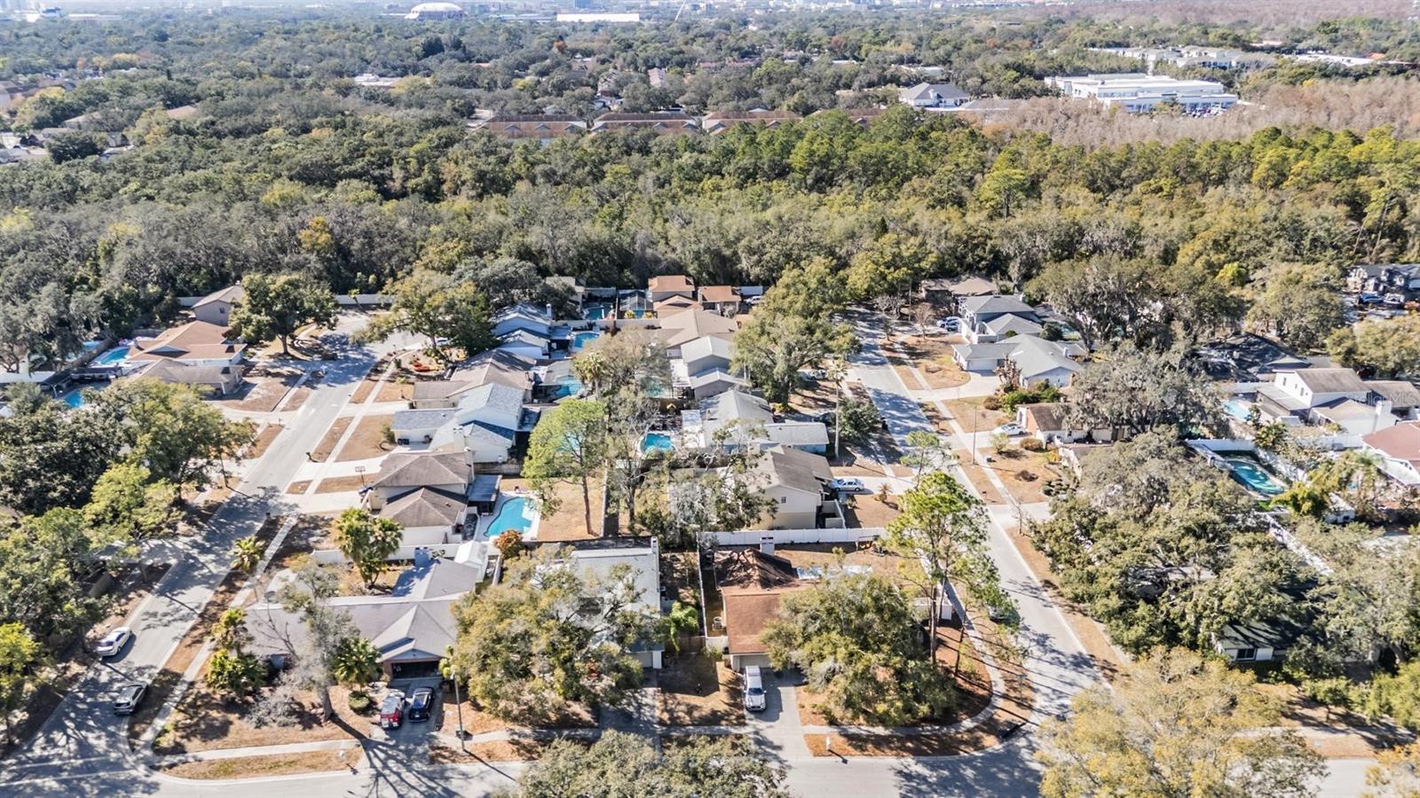 Image 6 of 44 For 12604 Rain Forest Street