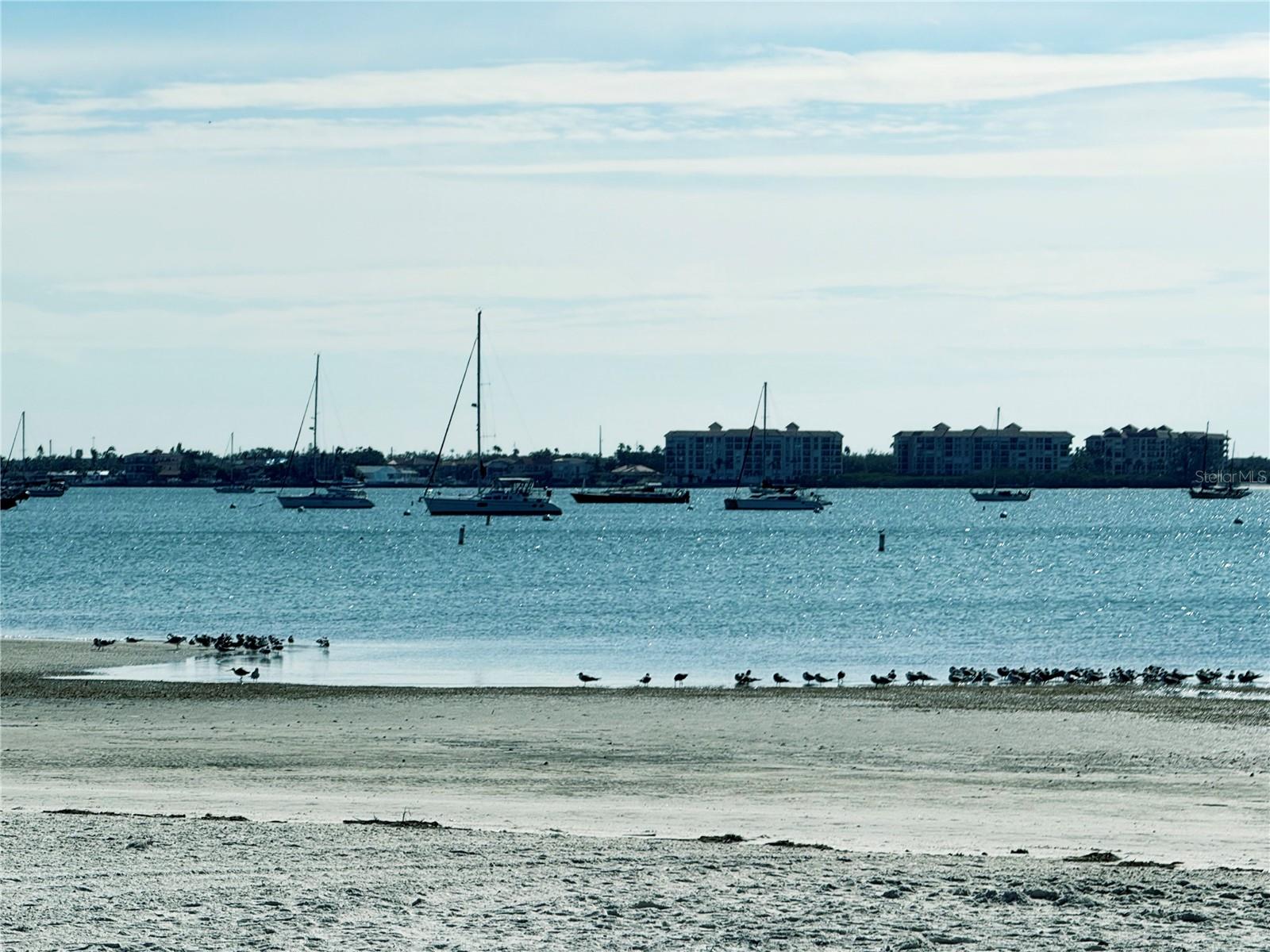 Image 55 of 59 For 6060 Shore Boulevard S 906