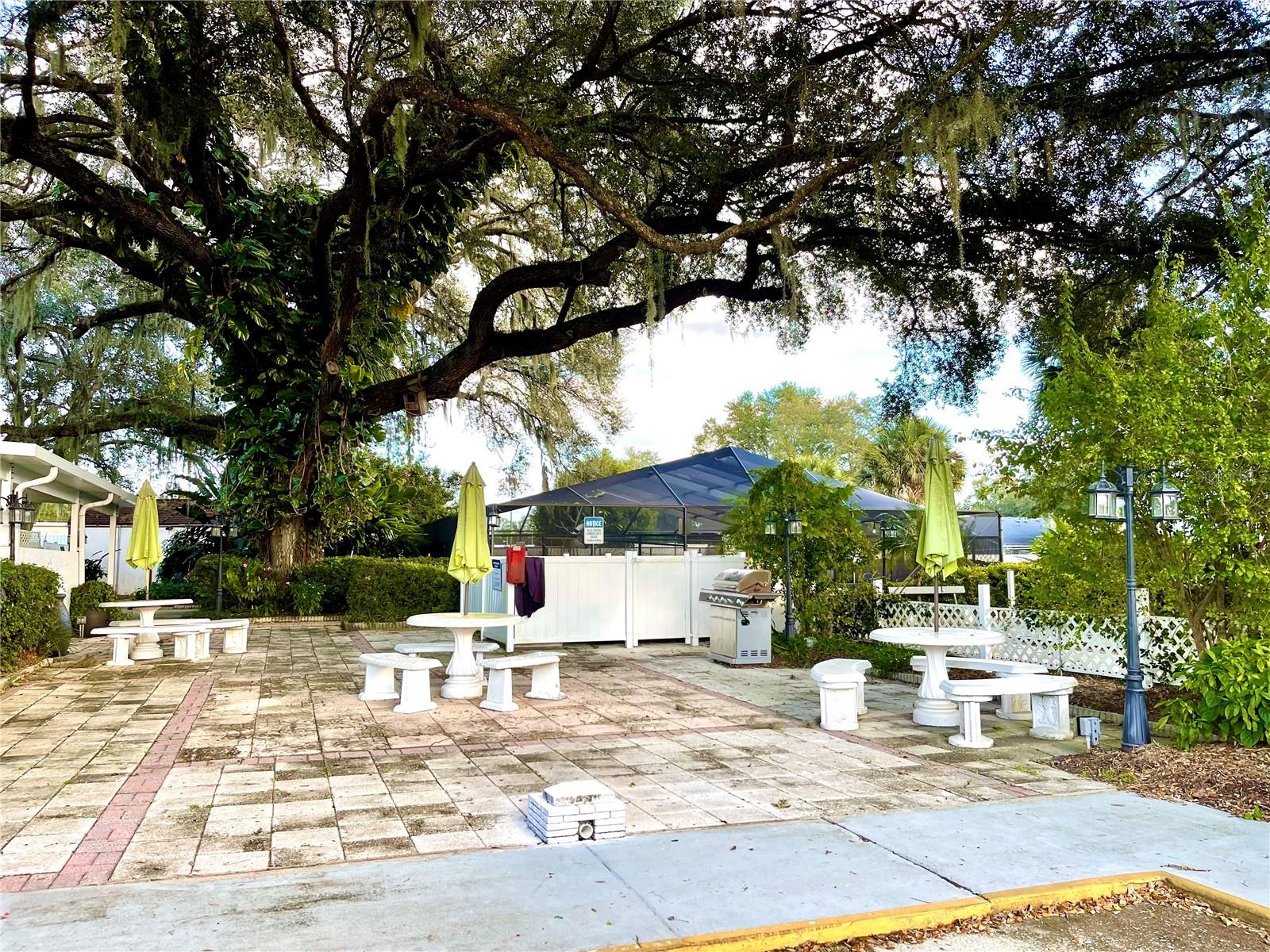 Image 21 of 21 For 39132 County Road 54  2020