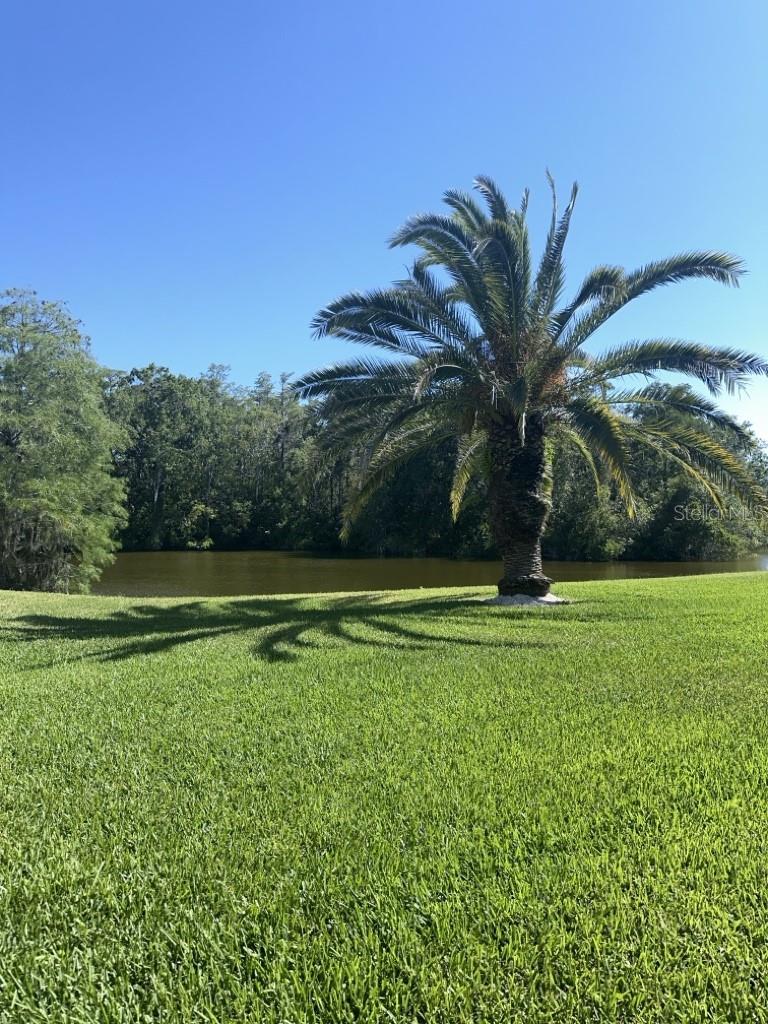 Image 20 of 21 For 261 Cypress Lane 261