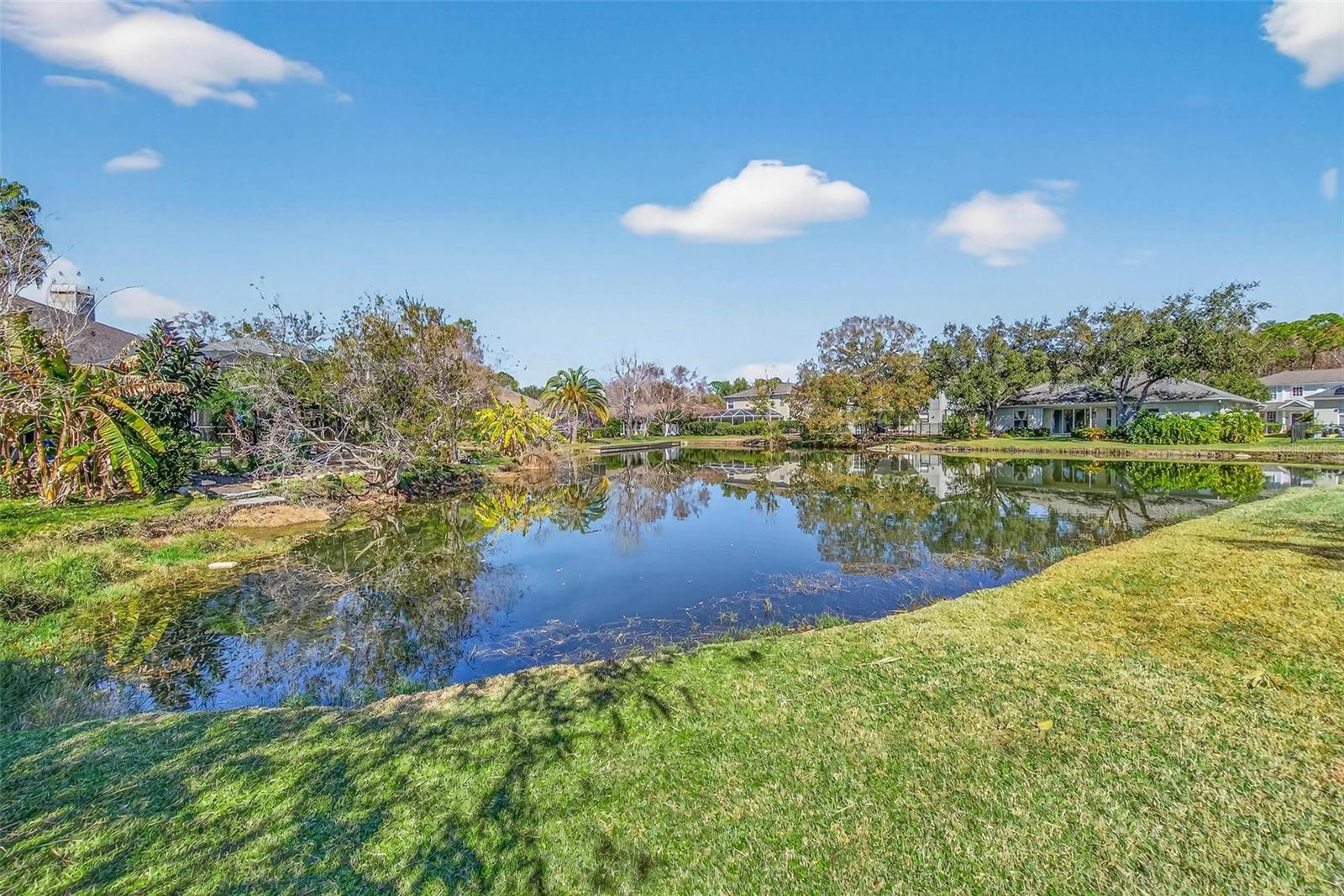 Image 34 of 40 For 1006 Robinwood Drive