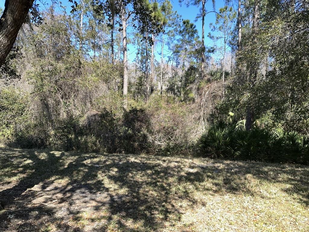 Image 19 of 19 For 3450 Chapel Creek Circle