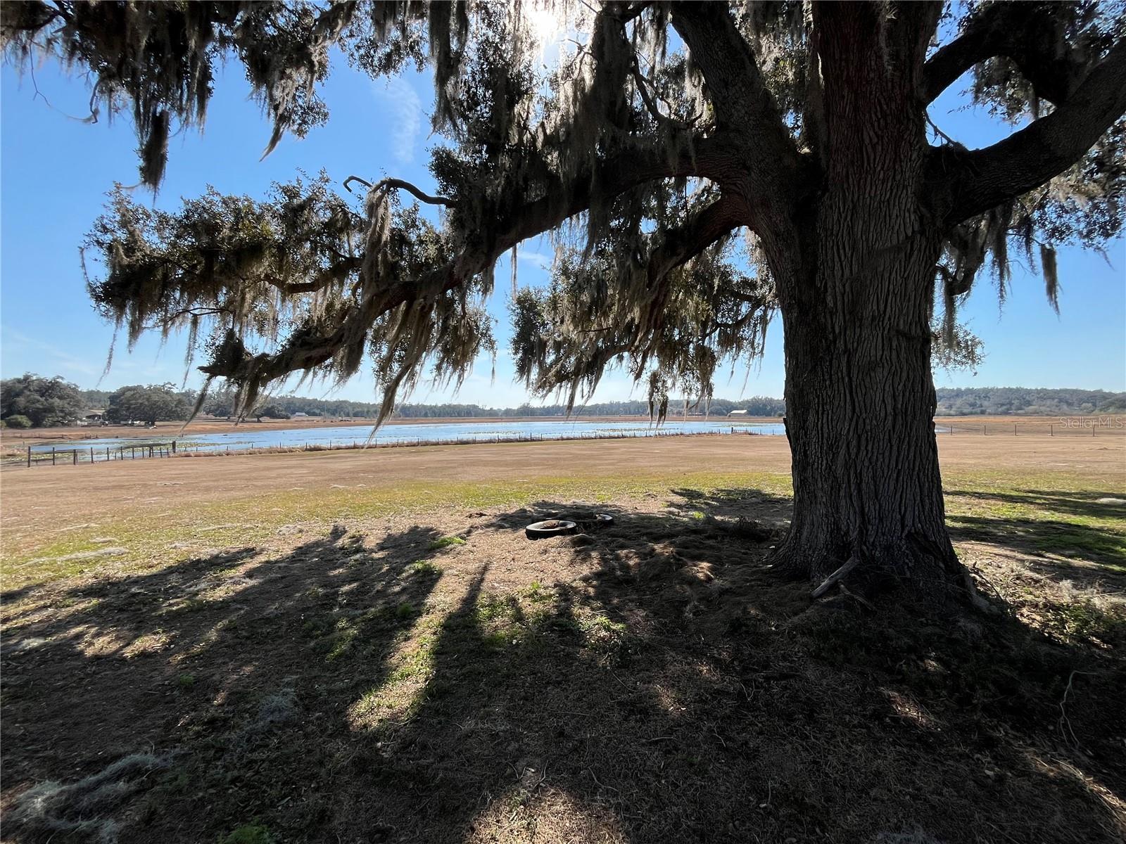 Image 4 of 34 For 35400 Lake Ray Drive