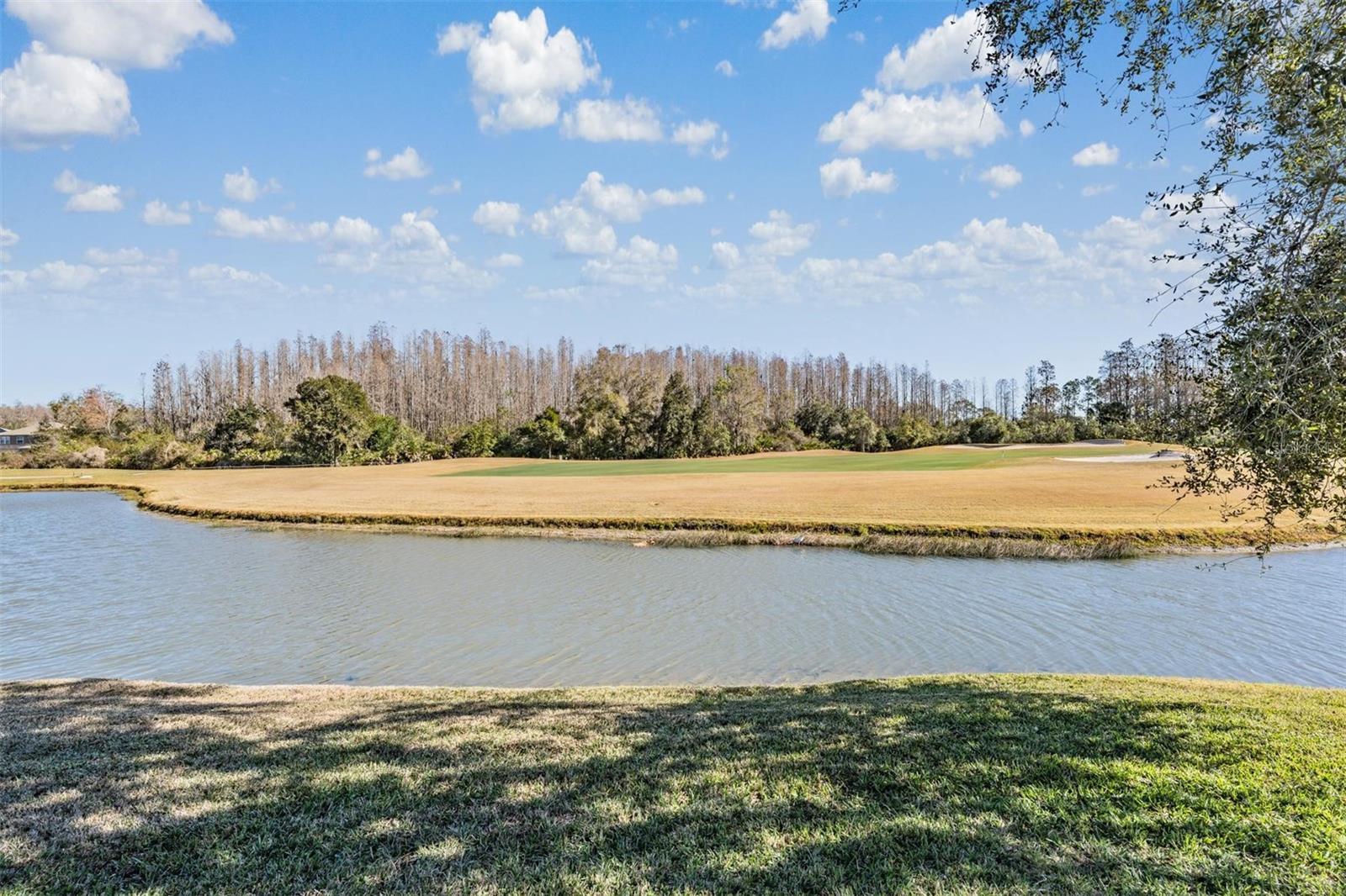 Image 26 of 31 For 10610 Plantation Bay Drive