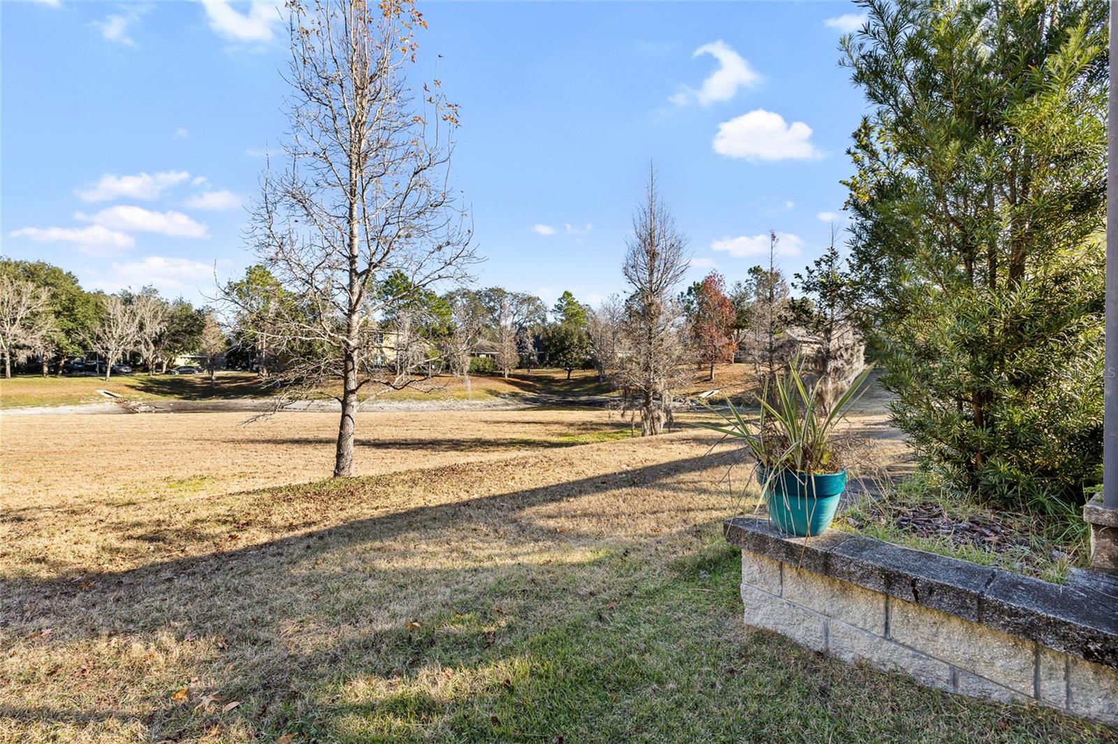 Listing photo id 42 for 15861 Starling Water Drive