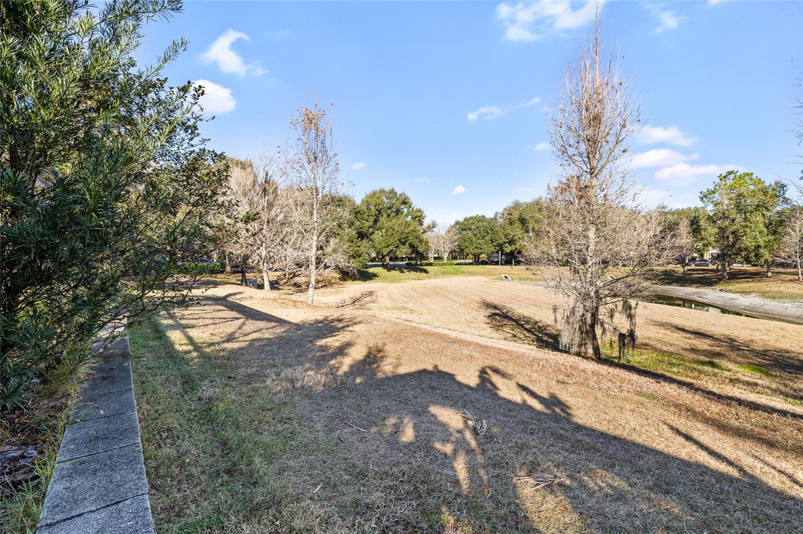 Listing photo id 44 for 15861 Starling Water Drive