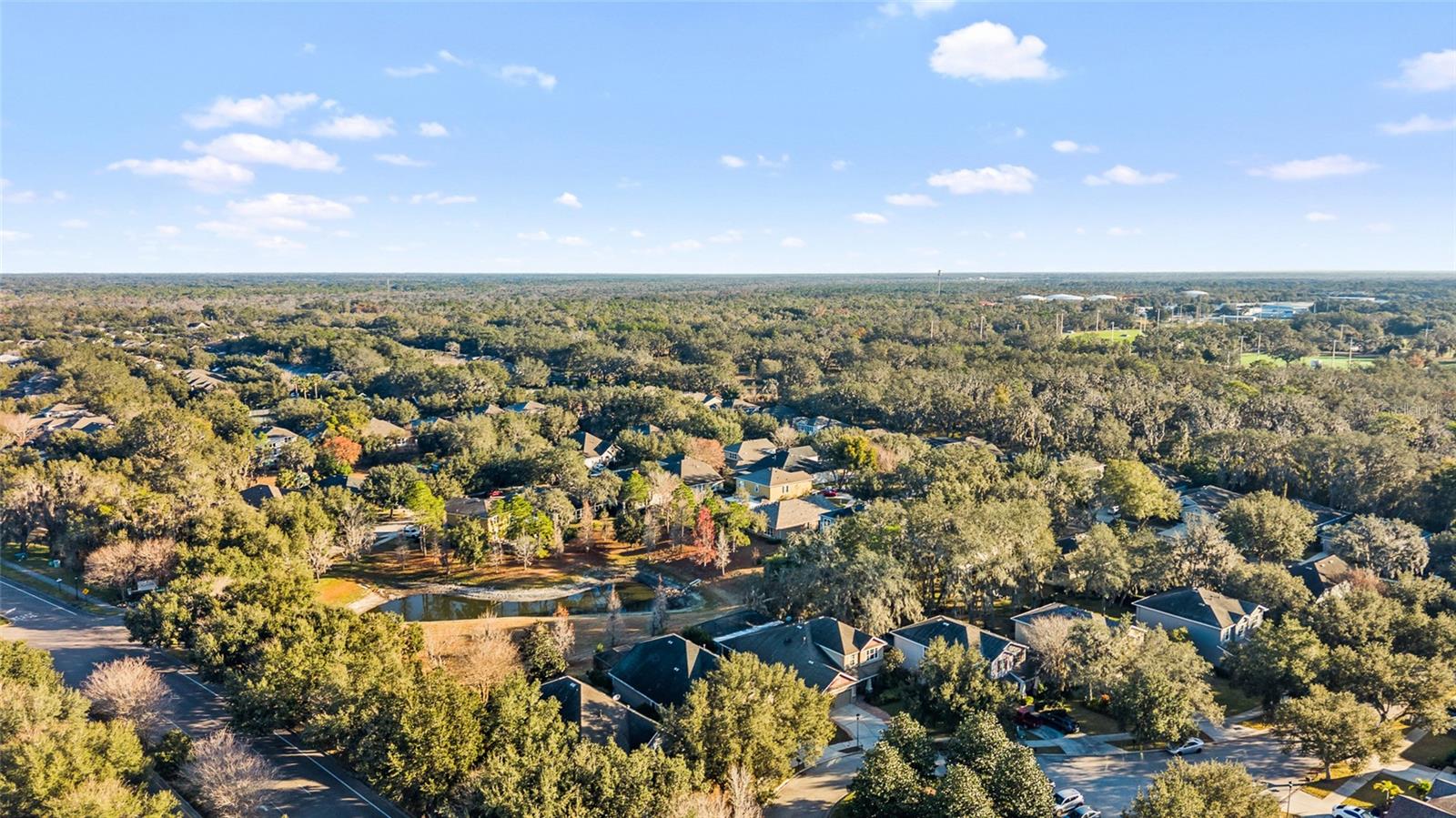 Listing photo id 49 for 15861 Starling Water Drive