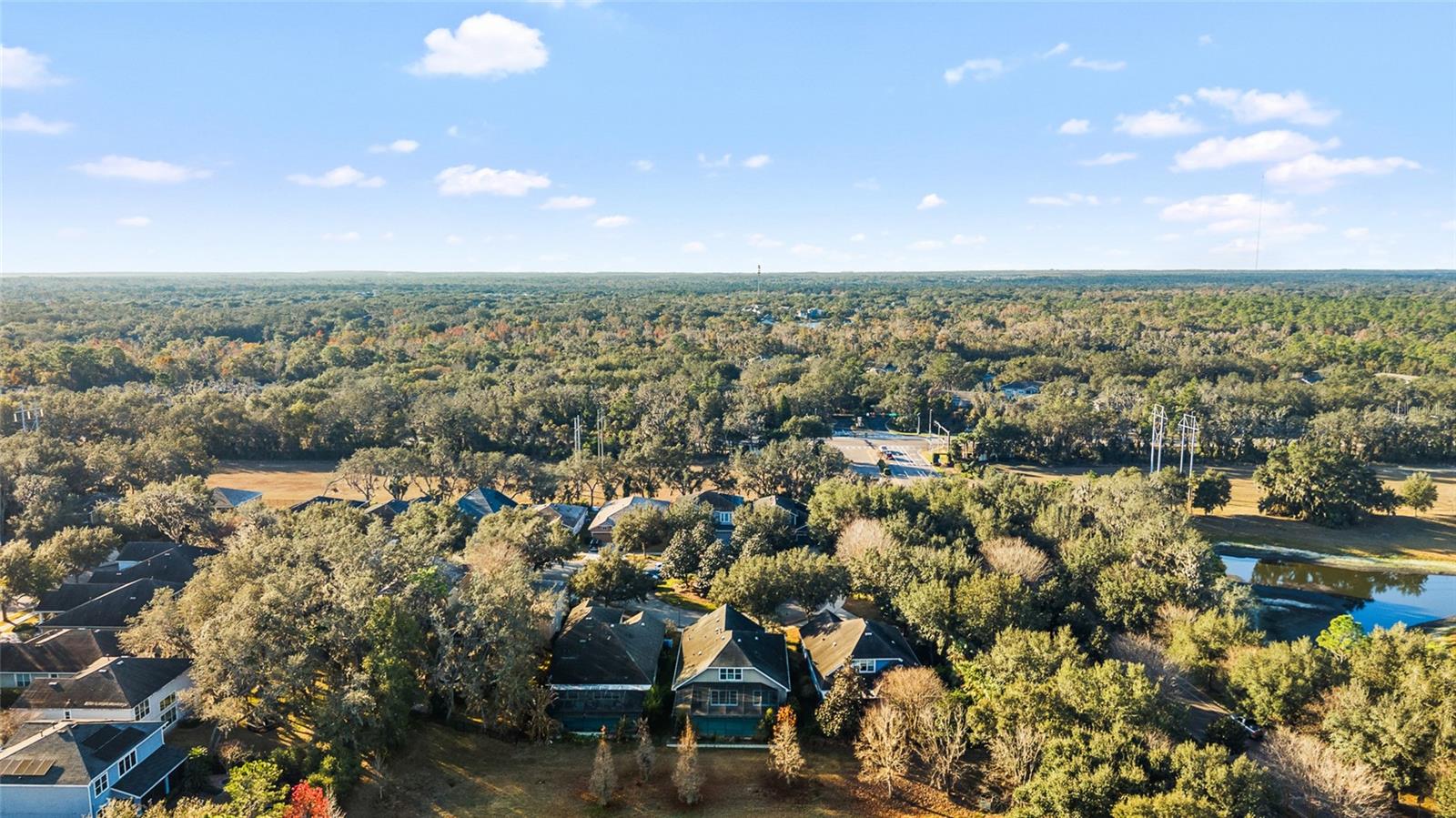 Listing photo id 51 for 15861 Starling Water Drive