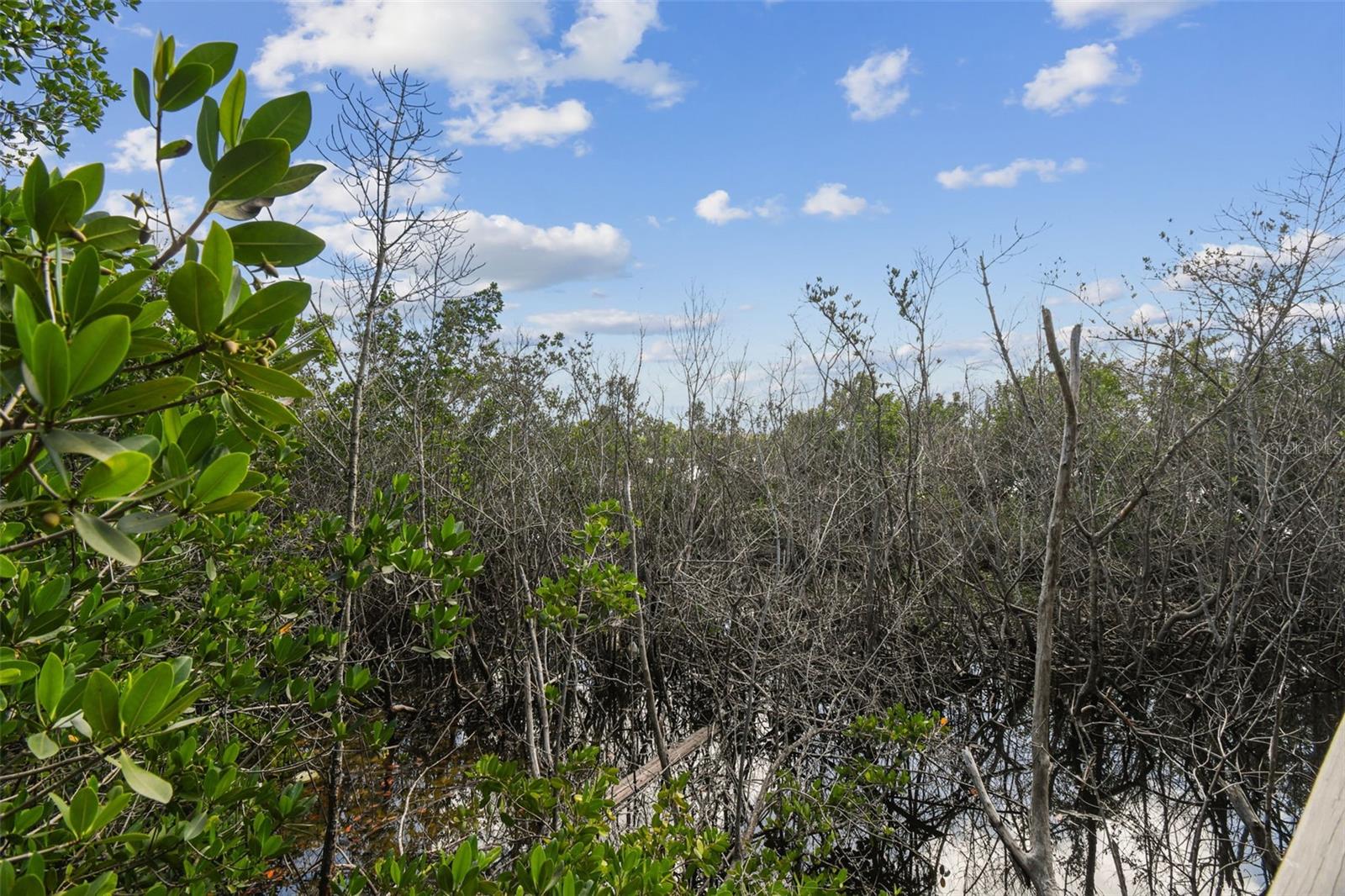 Image 77 of 79 For 1705 Meyers Cove Drive