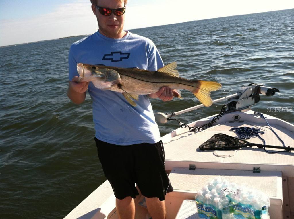 Image 53 of 66 For 39650 Us Hwy 19 N