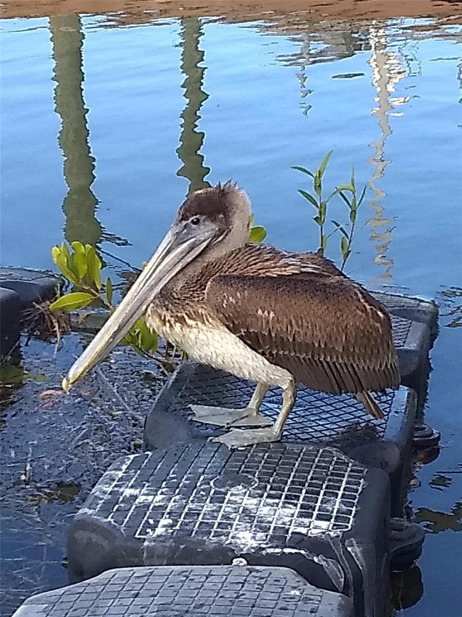 Image 54 of 66 For 39650 Us Hwy 19 N