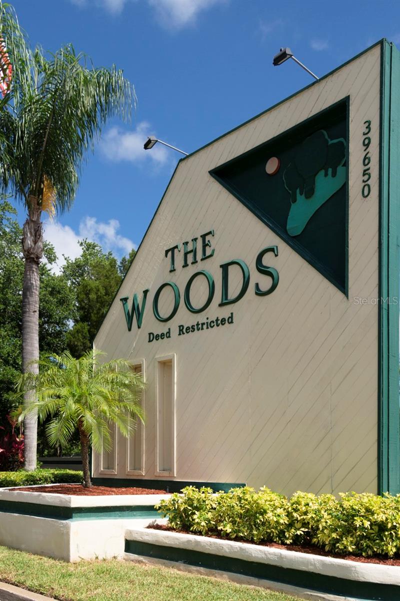 Image 57 of 66 For 39650 Us Hwy 19 N