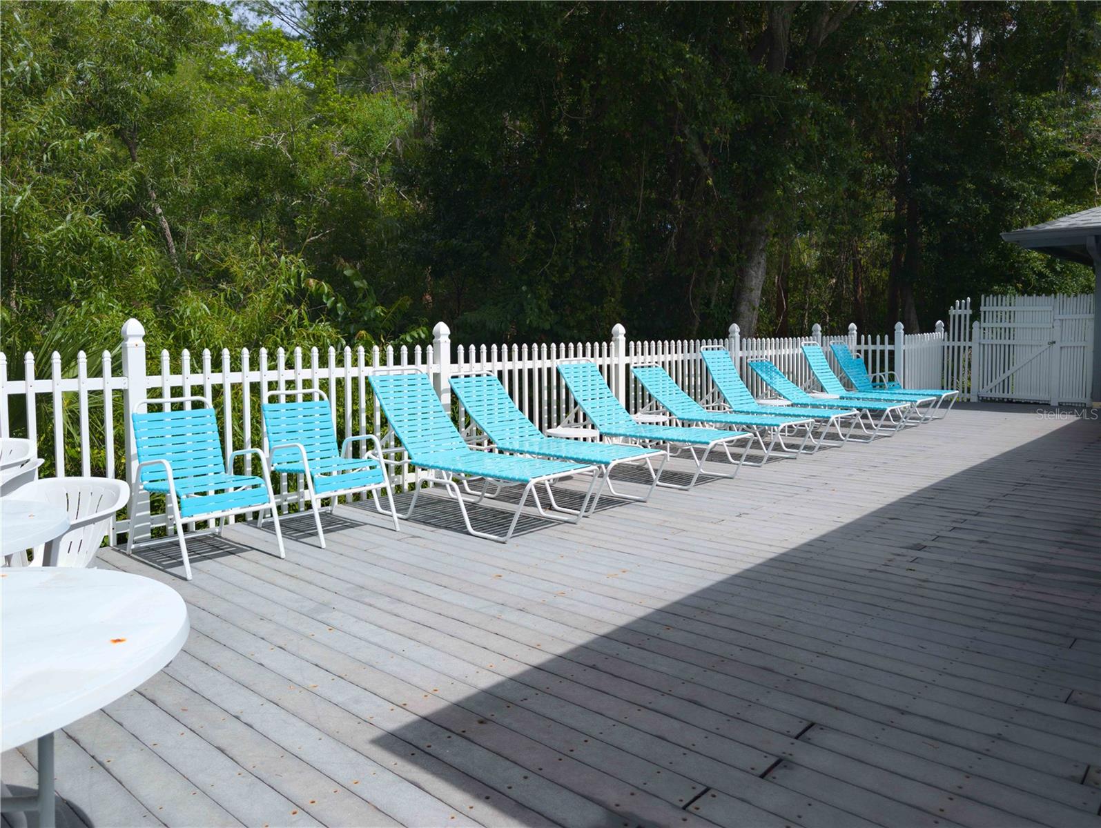 Image 62 of 66 For 39650 Us Hwy 19 N