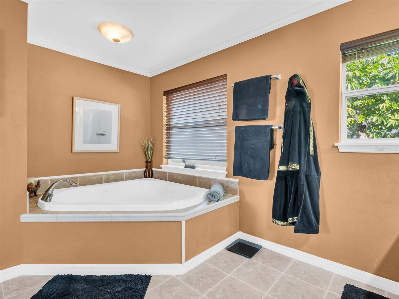 Image 20 of 76 For 1907 Gulf Beach Boulevard