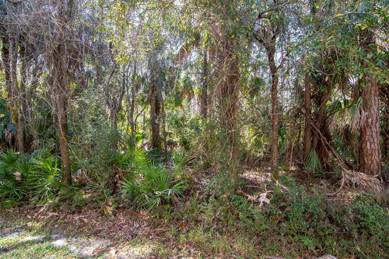 Image 31 of 50 For 18832 Duquesne Drive