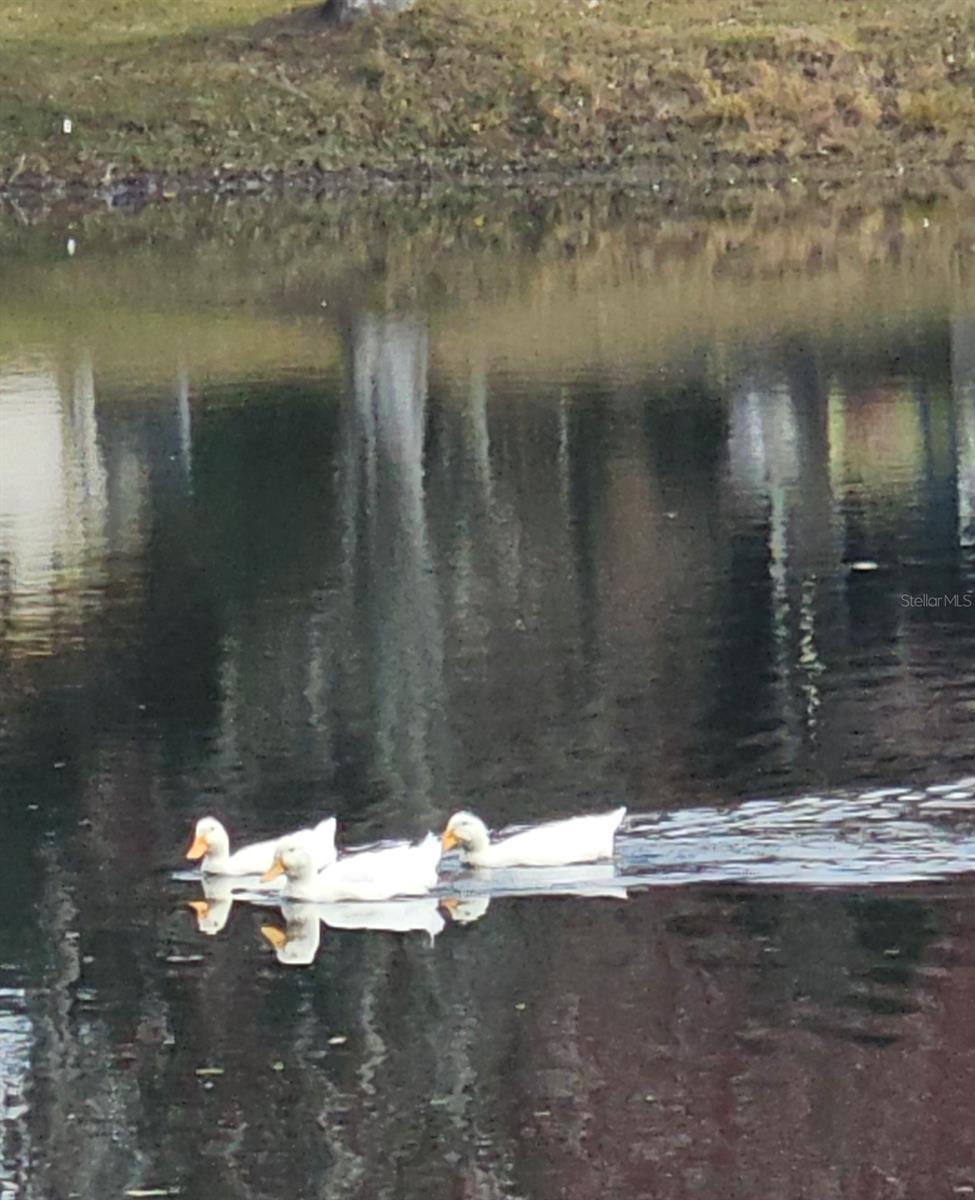 Image 63 of 71 For 5612 Baker Road