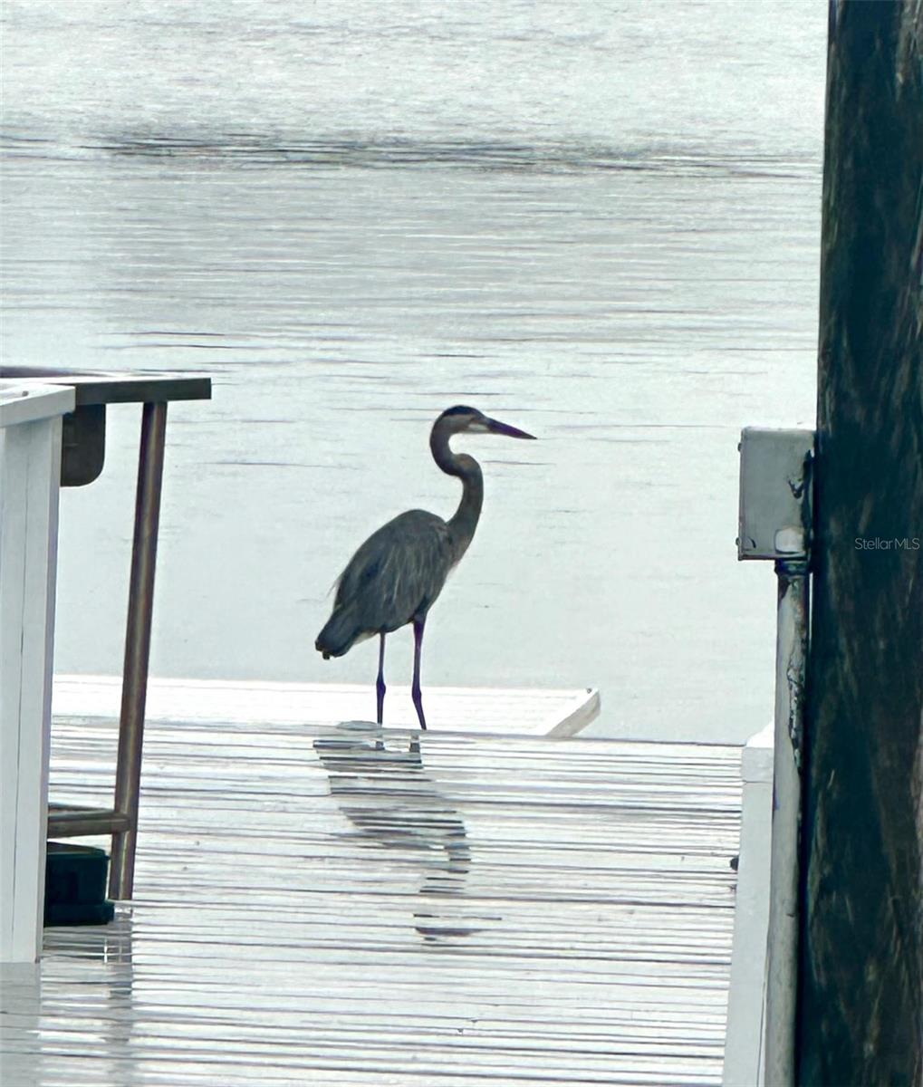 Image 31 of 90 For 644 Bayshore Drive