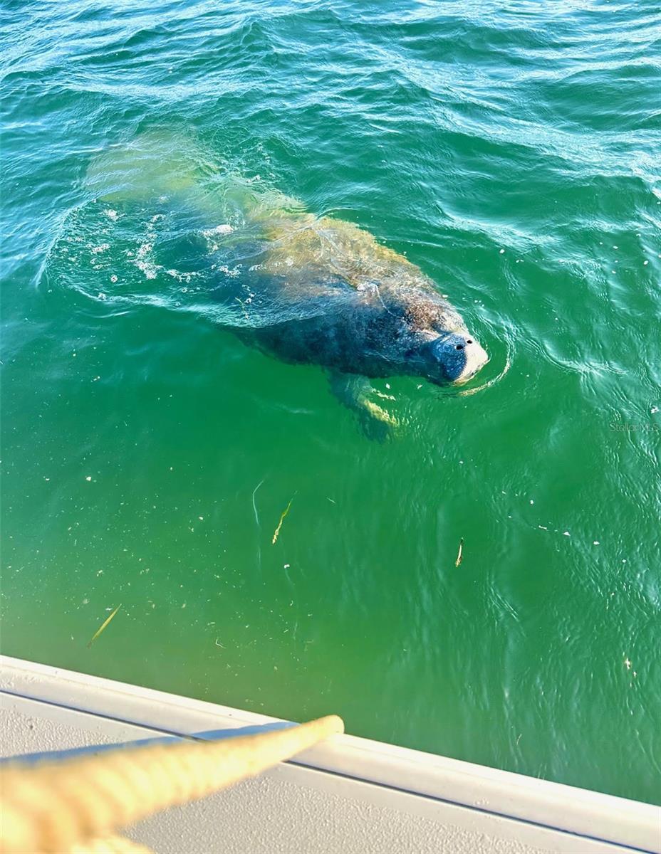 Image 6 of 90 For 644 Bayshore Drive