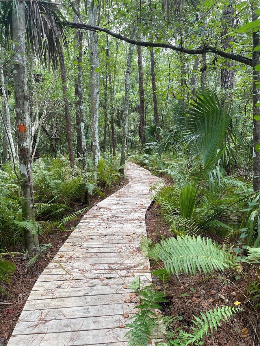 Image 50 of 52 For 5802 Peach Heather Trail