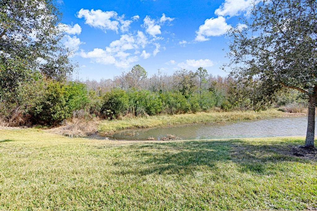 Image 32 of 51 For 2436 Oakwood Preserve Drive