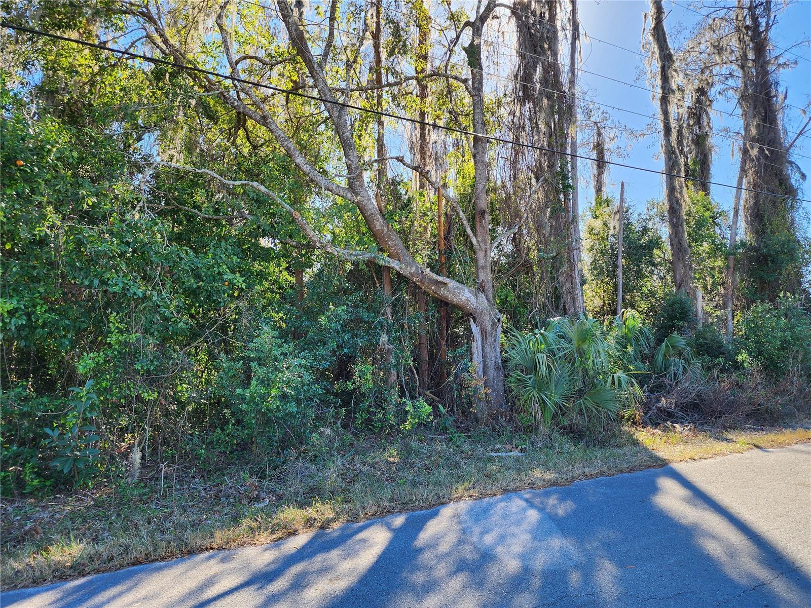 Listing photo id 1 for 12716 Poppy Street