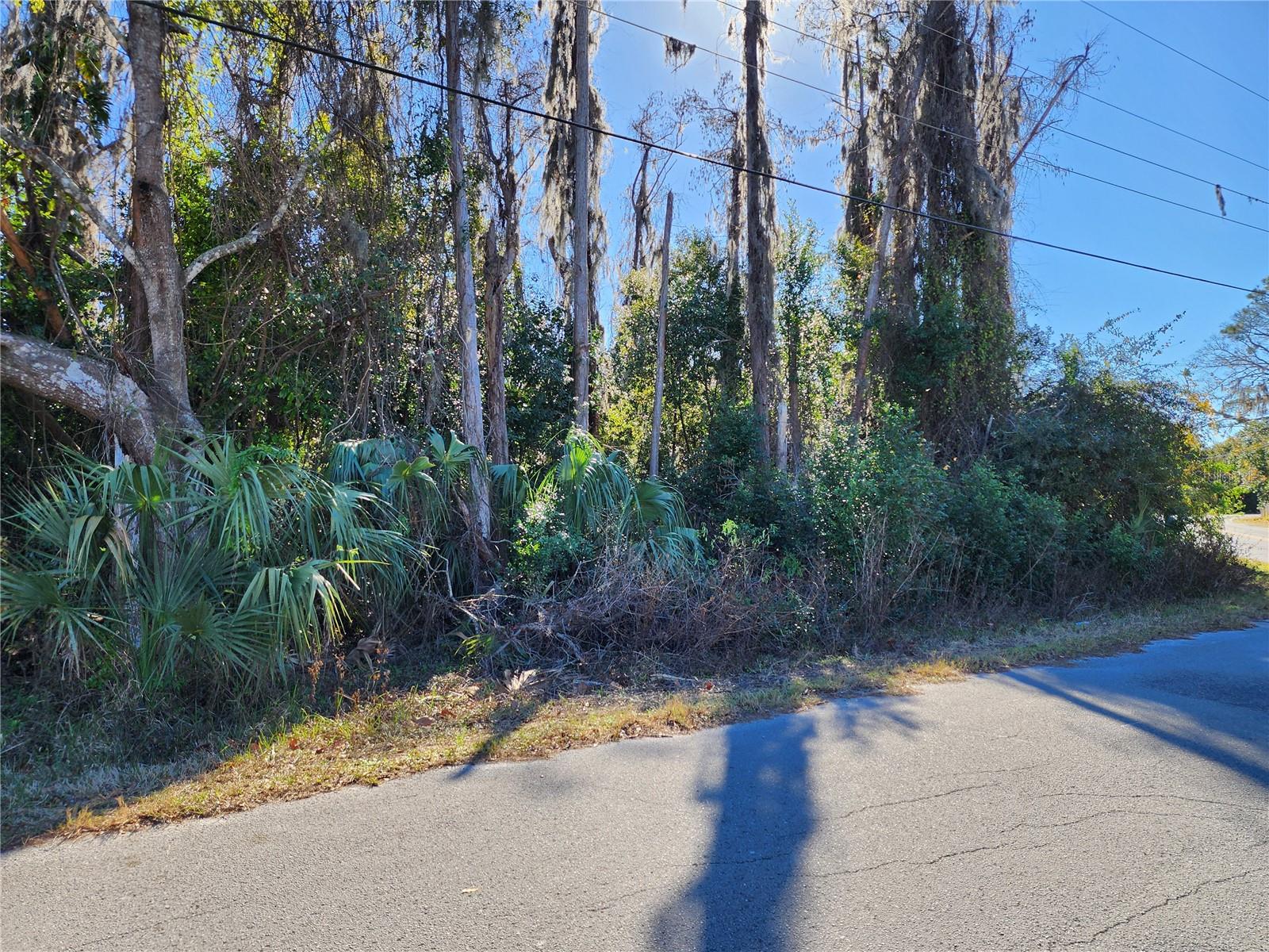 Listing photo id 2 for 12716 Poppy Street