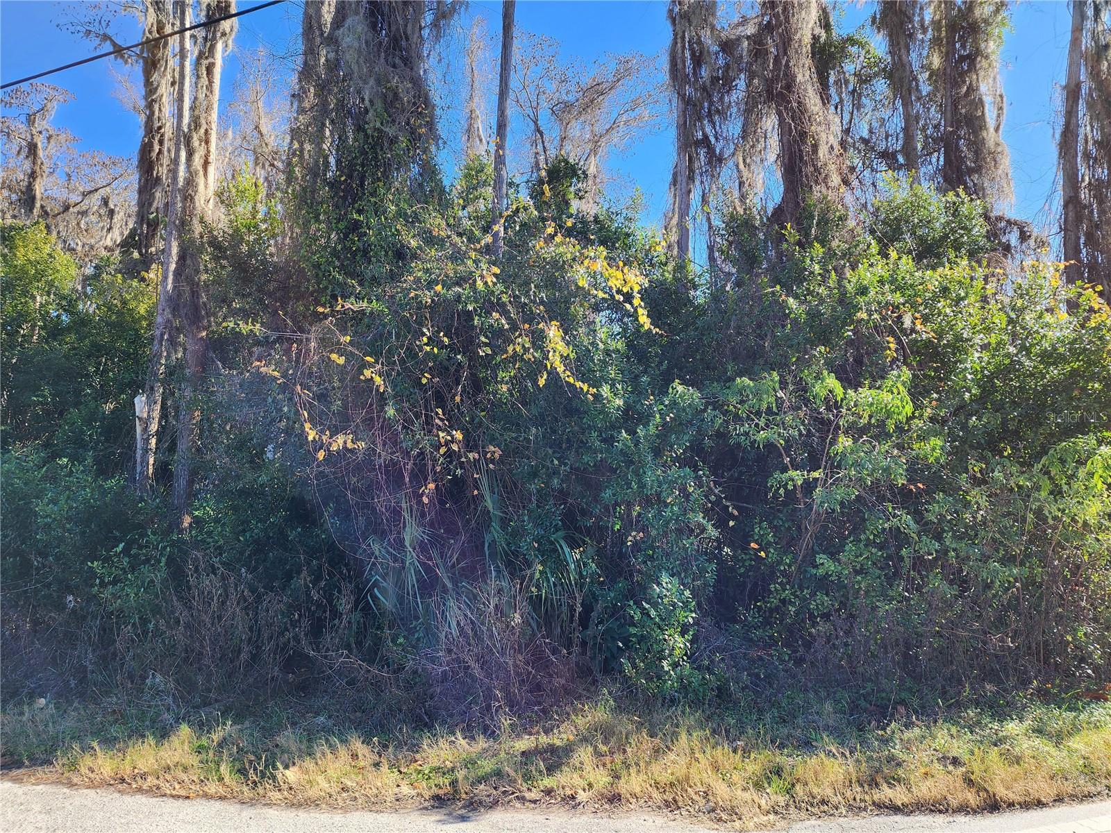 Listing photo id 3 for 12716 Poppy Street