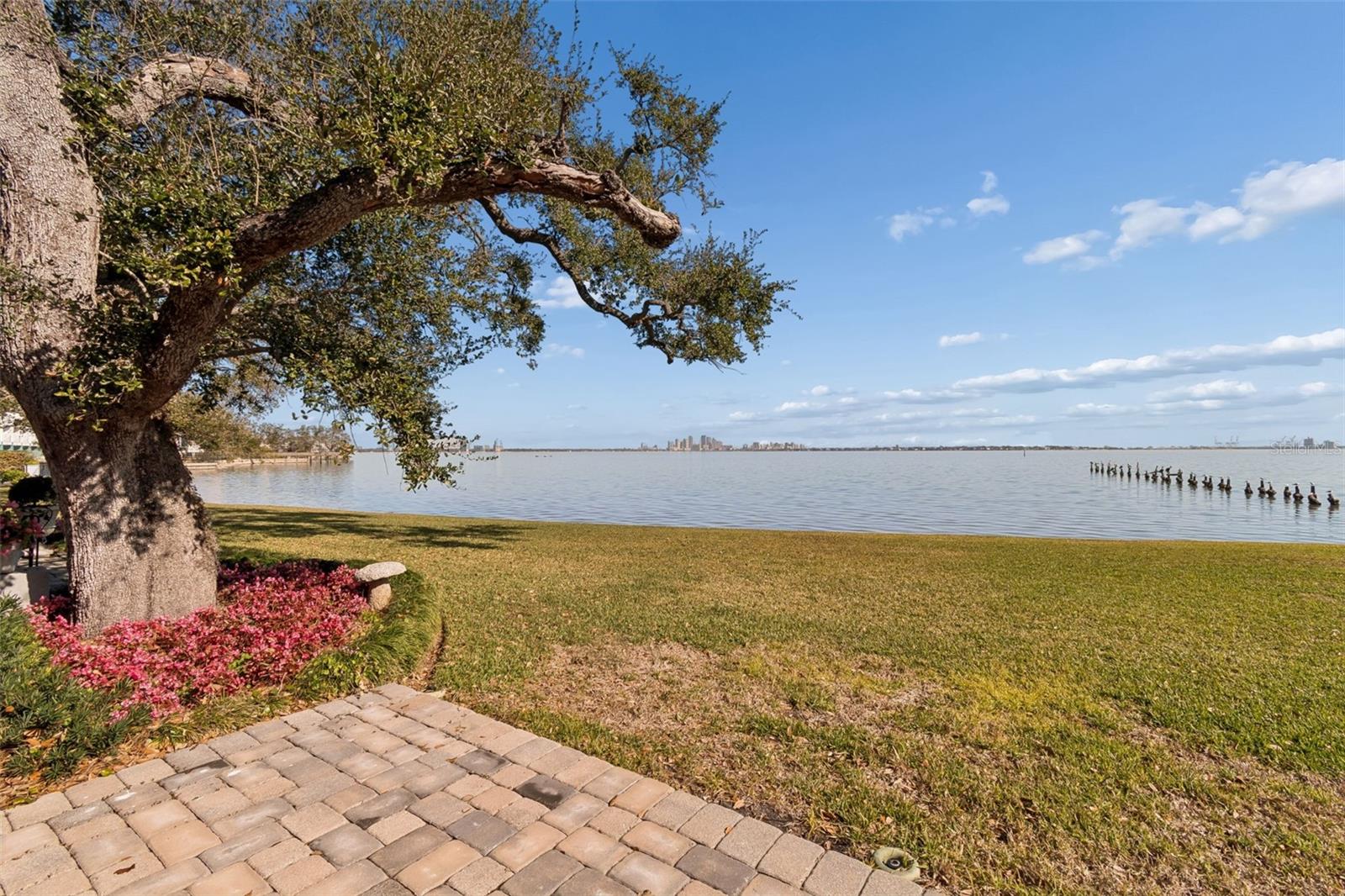 Image 42 of 51 For 5010 Bayshore Boulevard 9