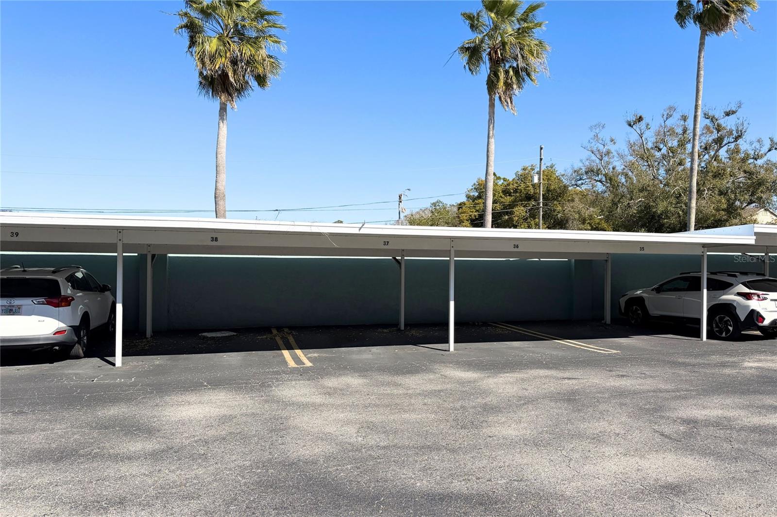 Image 16 of 24 For 701 Poinsettia Road 340