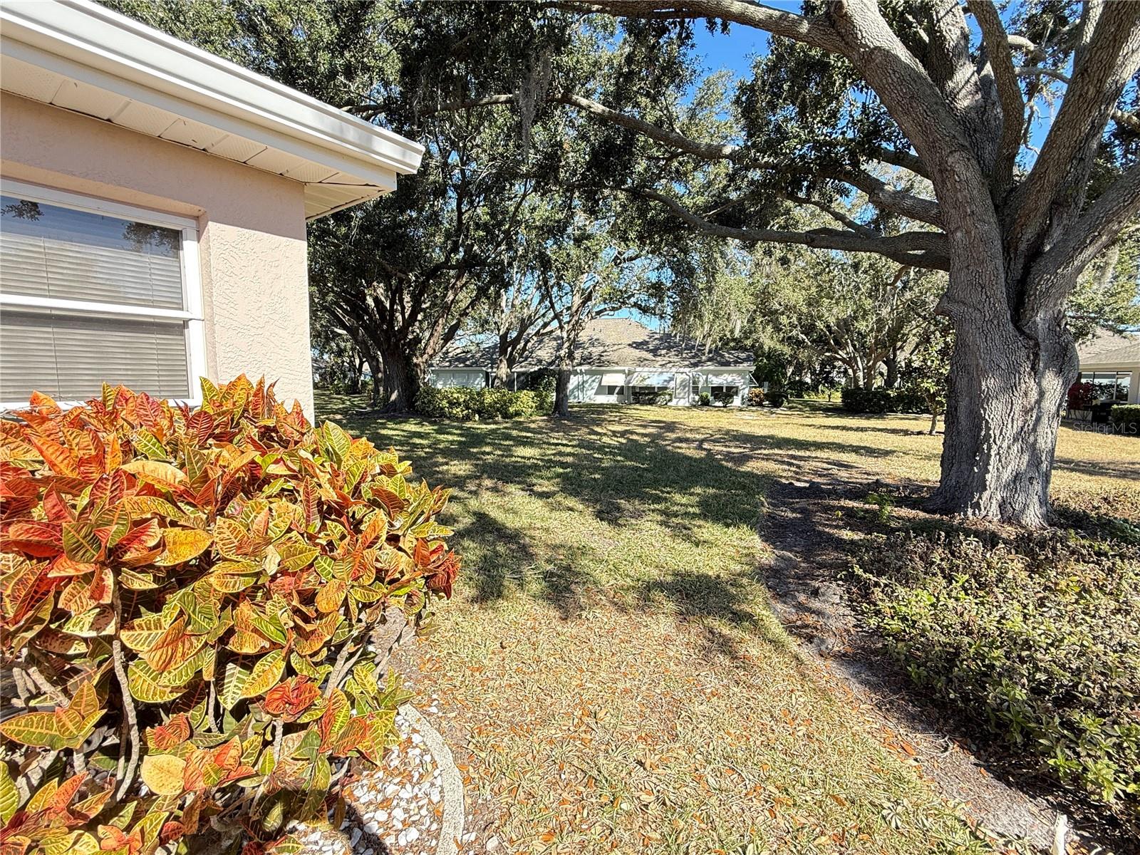 Image 40 of 59 For 2309 Mooney. Place