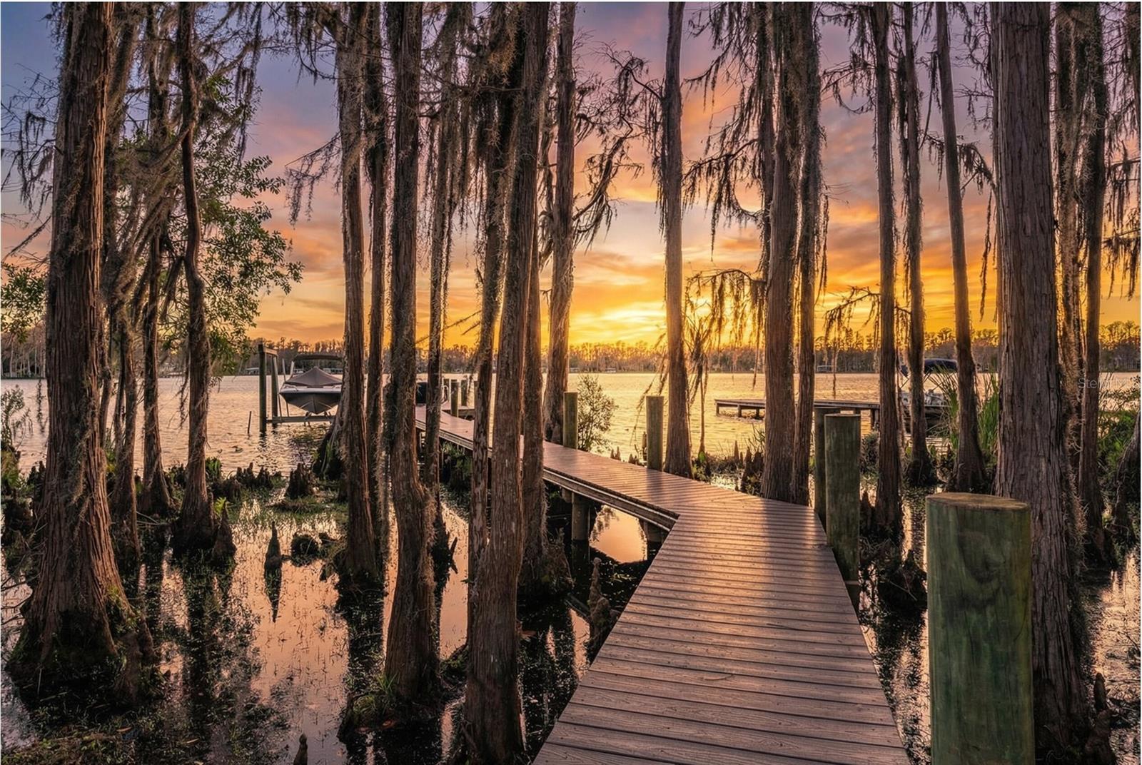 Listing photo id 53 for 5914 Fitzgerald Road