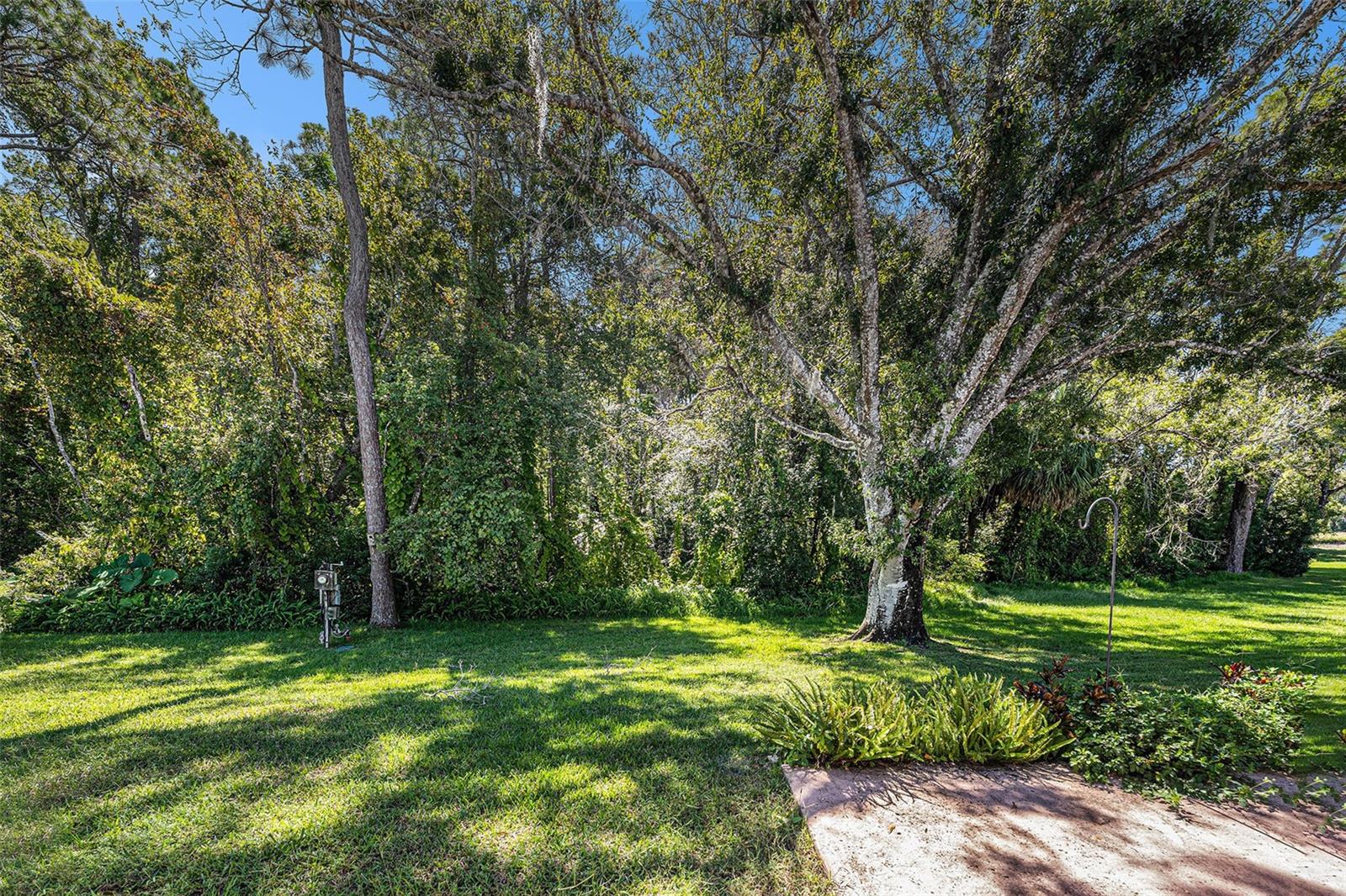 Image 23 of 34 For 10736 Laquinta Drive