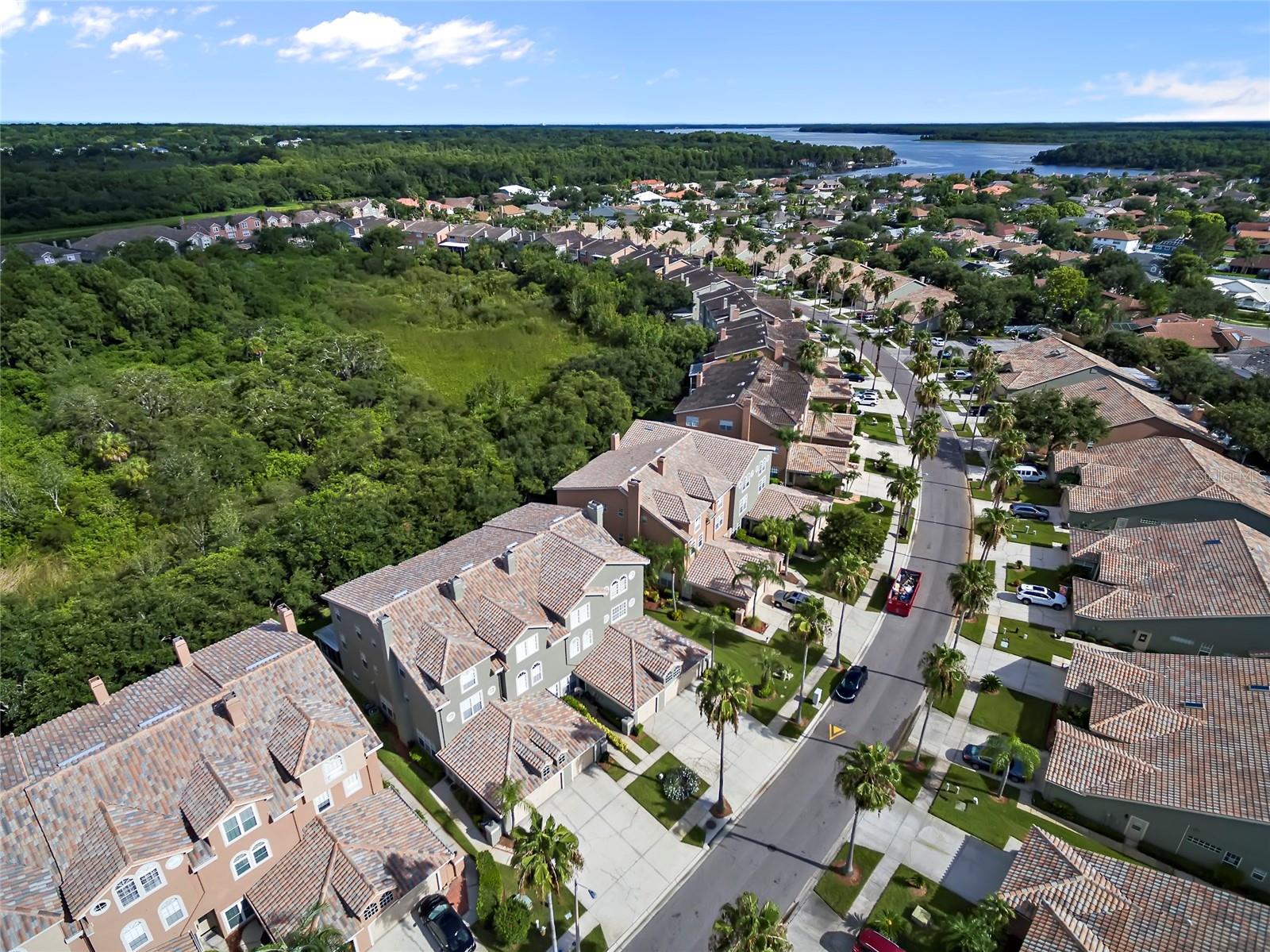 Image 49 of 51 For 1717 Arabian Lane