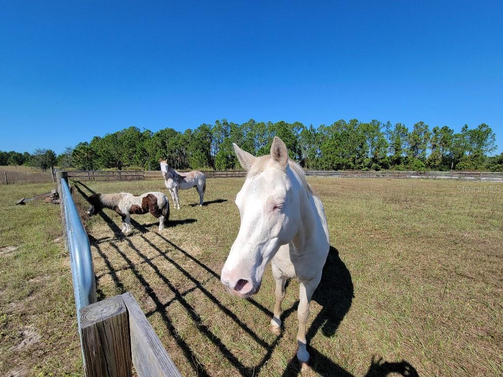 Image 27 of 32 For 12625 Sweet Hill Road