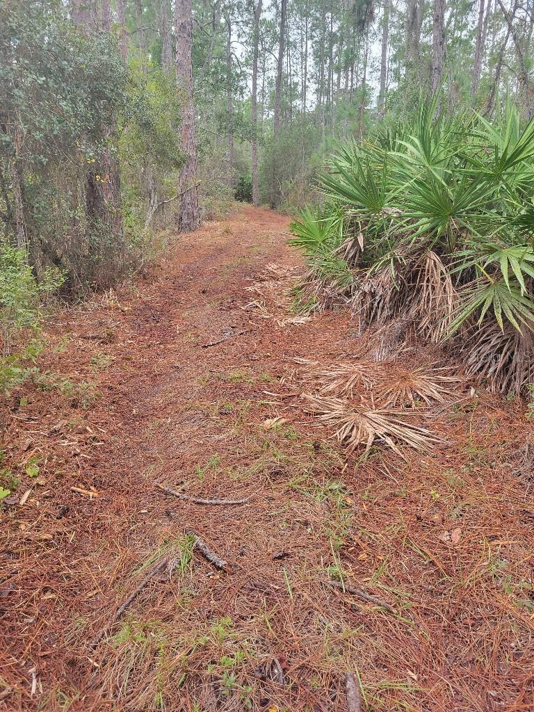 Image 28 of 32 For 12625 Sweet Hill Road