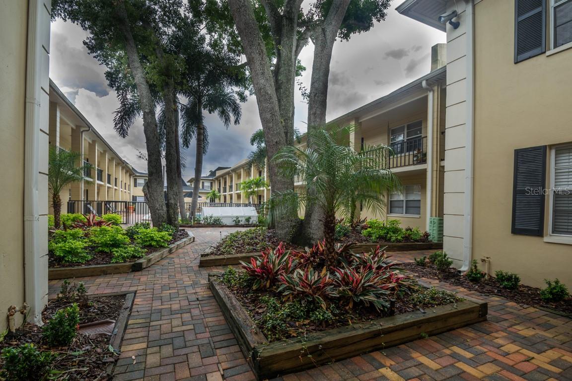 Image 20 of 24 For 5221 Bayshore Boulevard 32