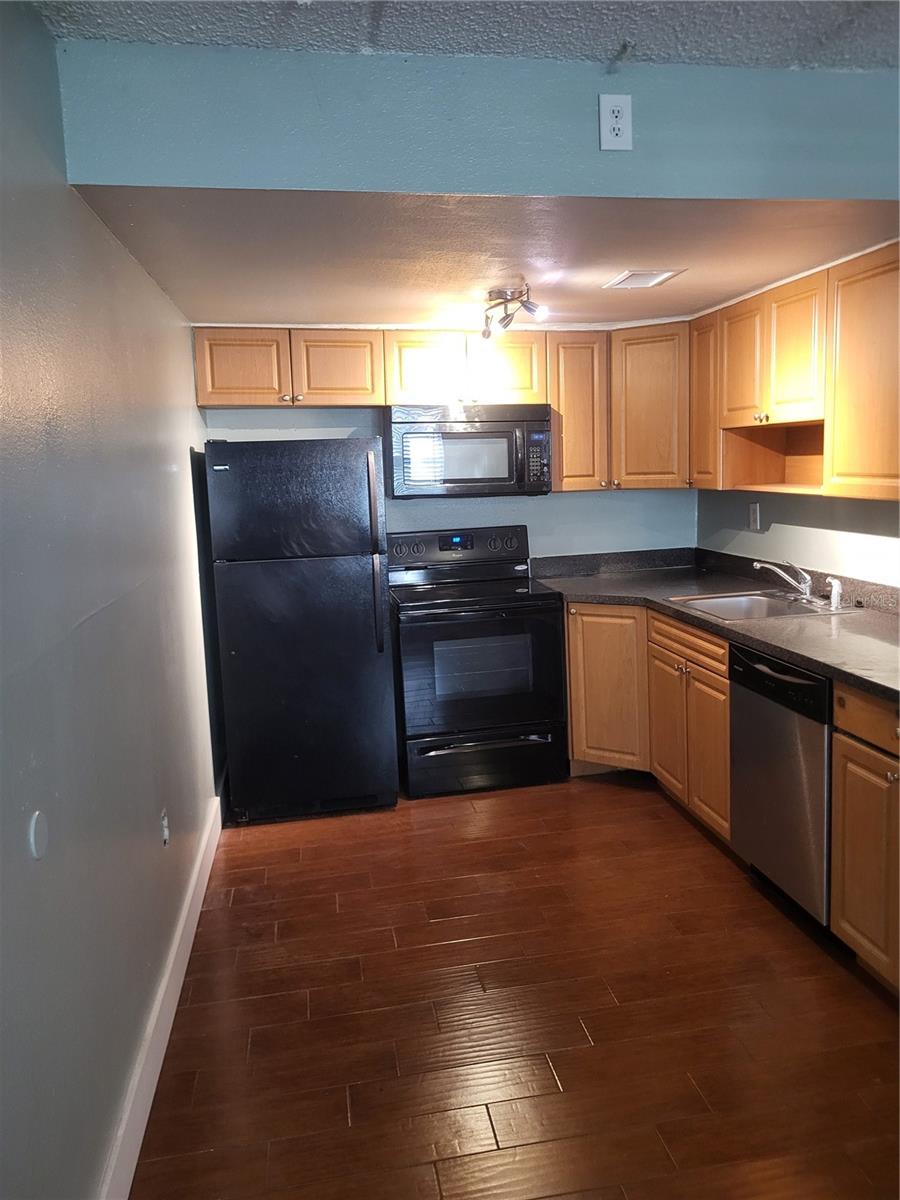 Image 6 of 24 For 5221 Bayshore Boulevard 32