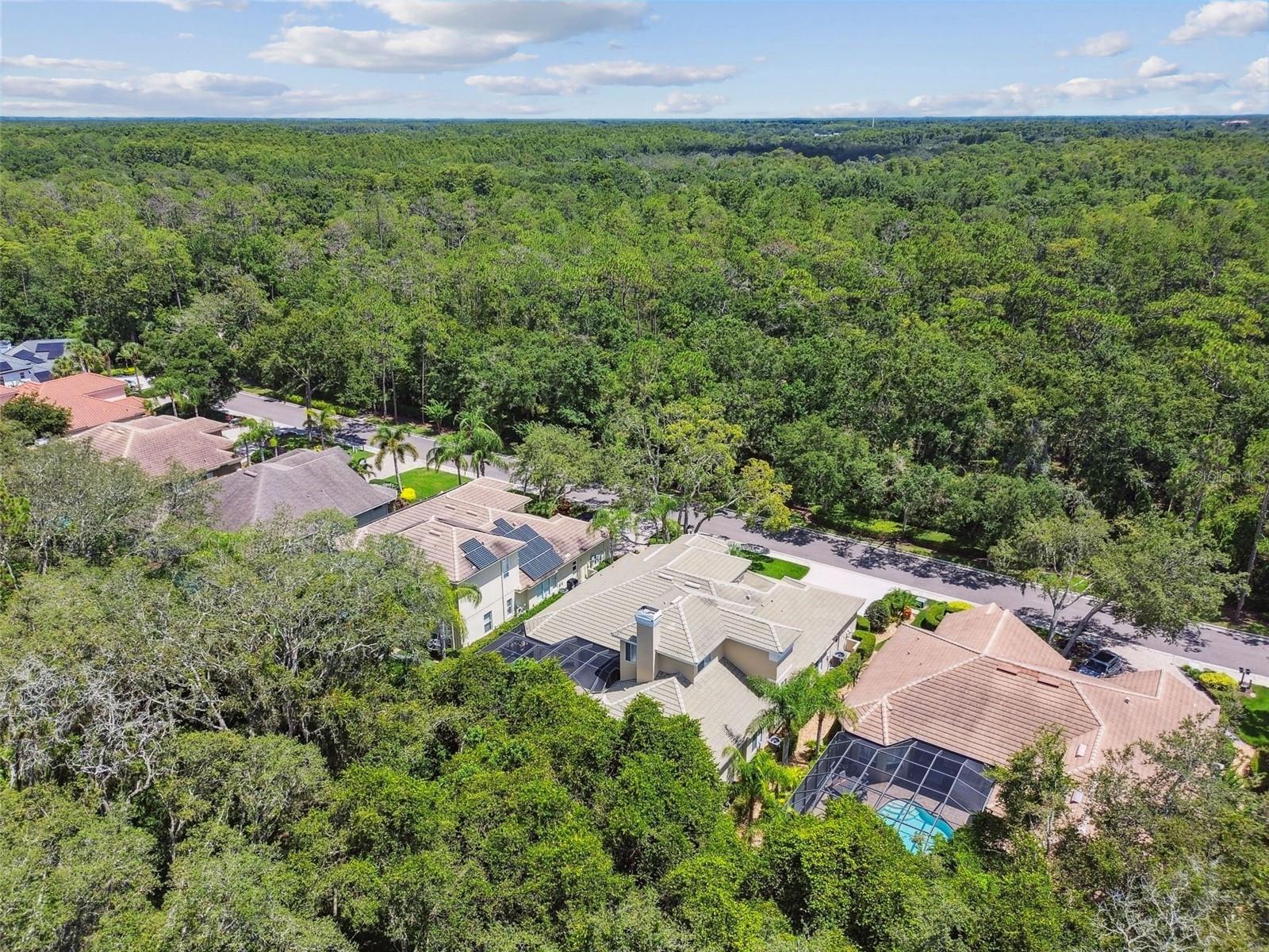 Image 76 of 90 For 2935 Grey Oaks Boulevard