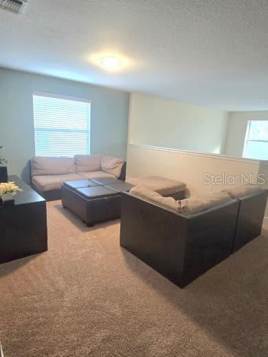 Image 36 of 87 For 8923 Cuban Palm Road