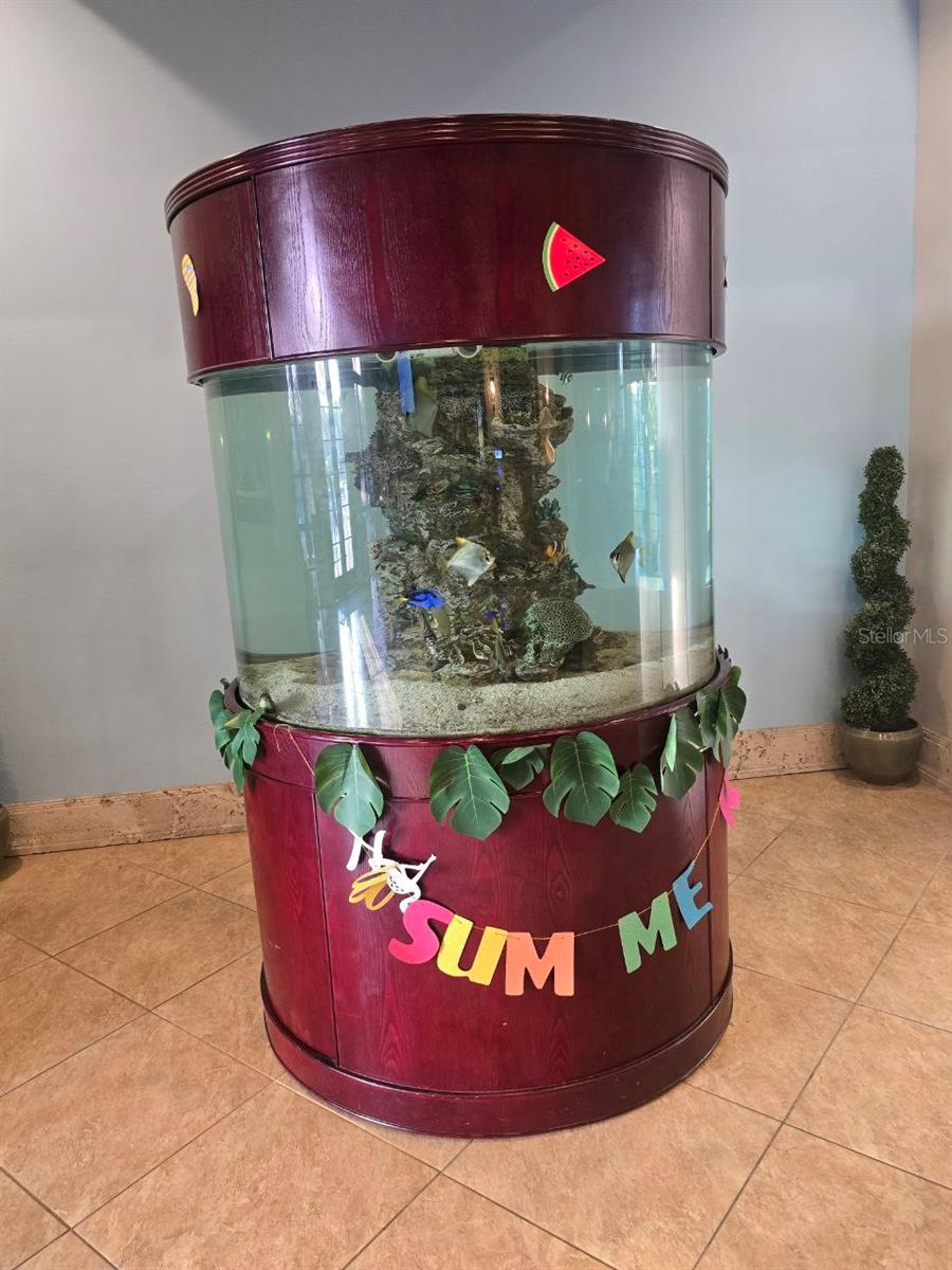 Image 75 of 87 For 8923 Cuban Palm Road