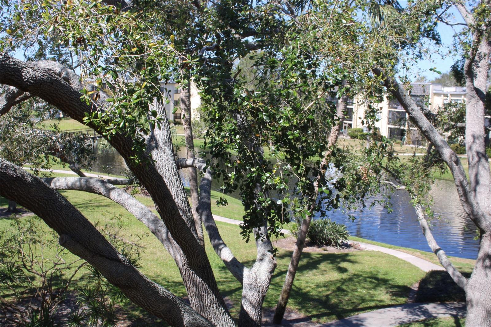 Image 3 of 23 For 14130 Rosemary Lane 1305