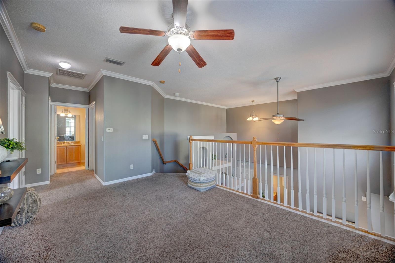 Listing photo id 22 for 6020 Fishhawk Crossing Boulevard Na