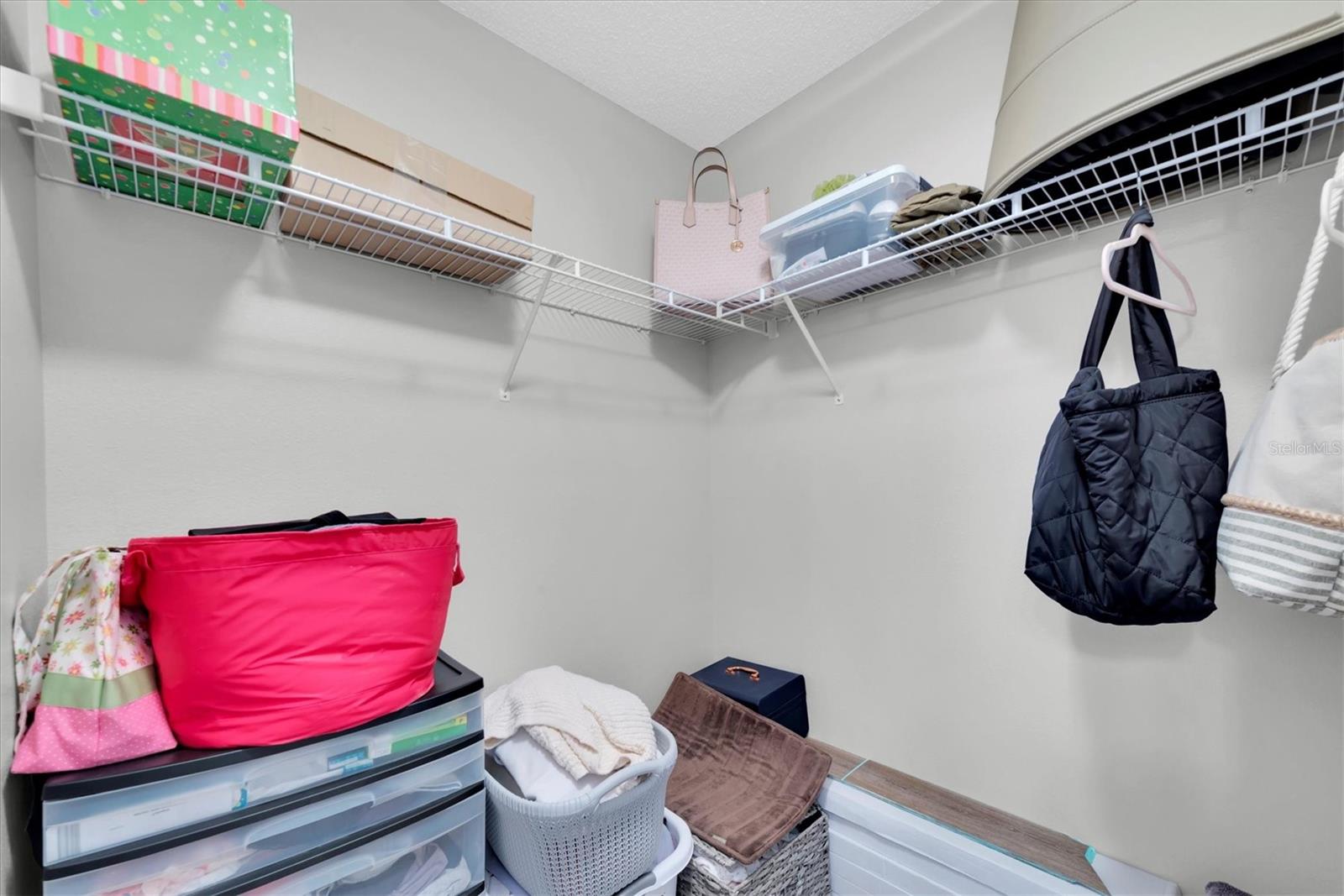 Image 17 of 44 For 13102 Carrollwood Creek Drive