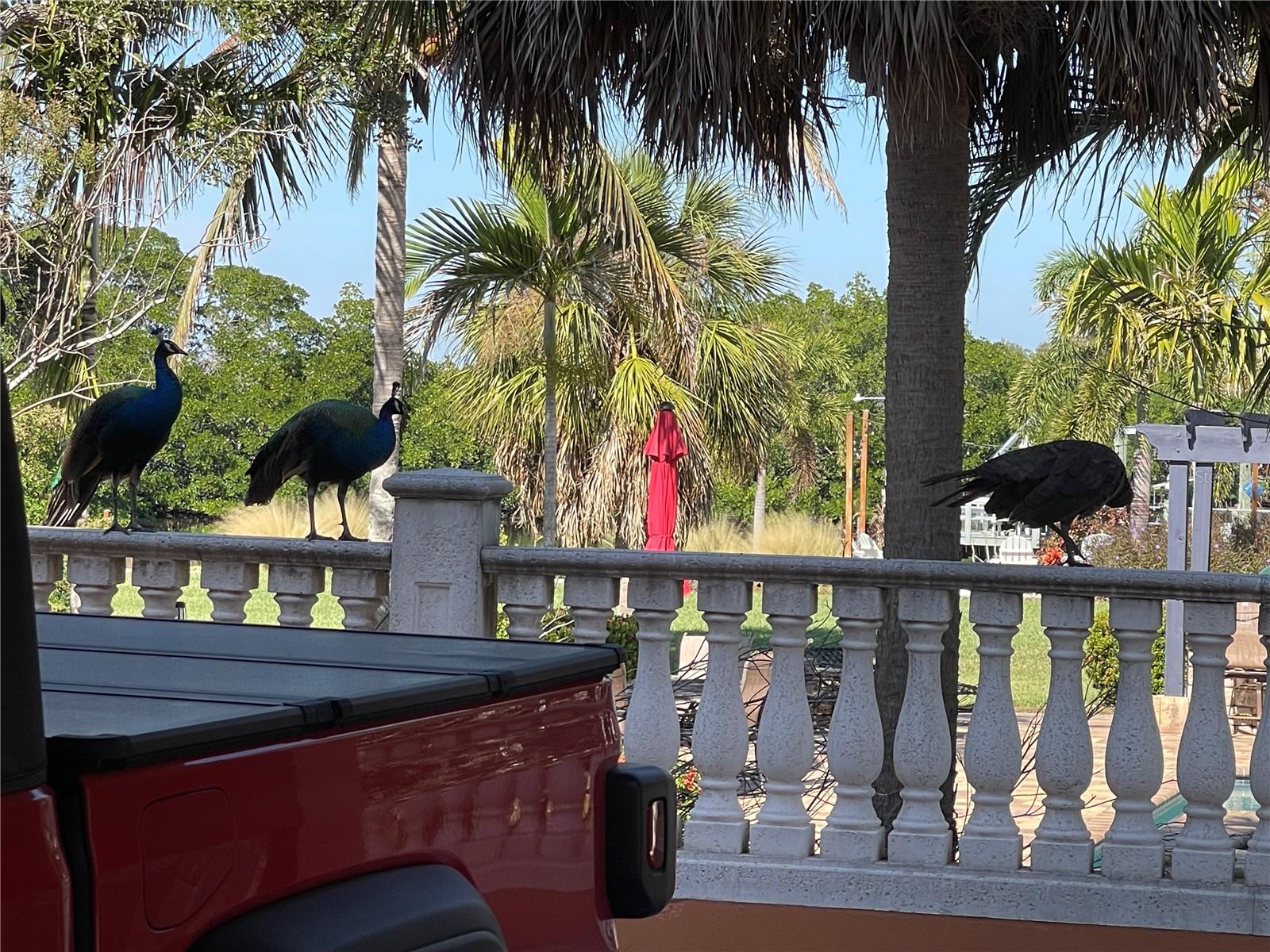 Image 3 of 99 For 9017 Baywood Park Drive