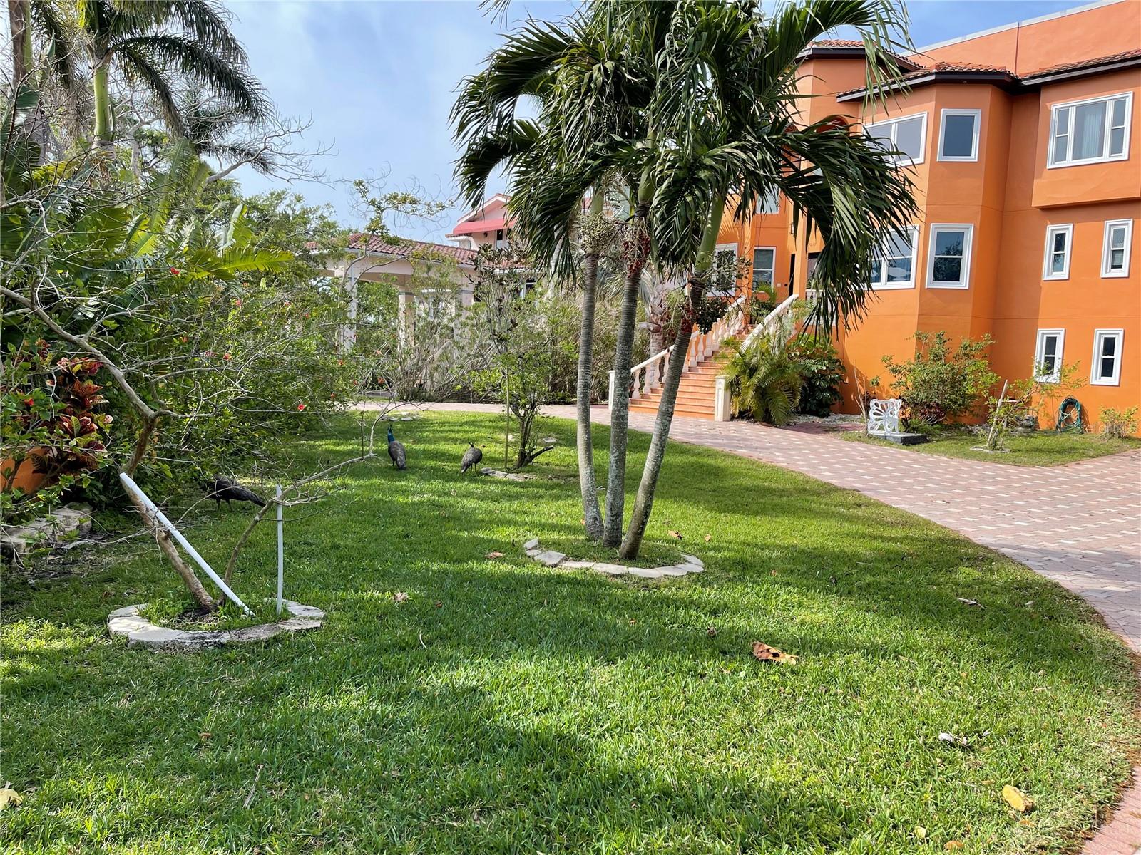 Image 77 of 99 For 9017 Baywood Park Drive