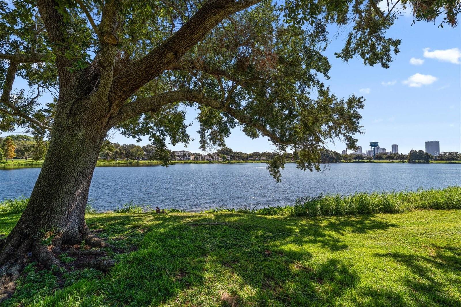 Listing photo id 33 for 1120 24th Avenue N