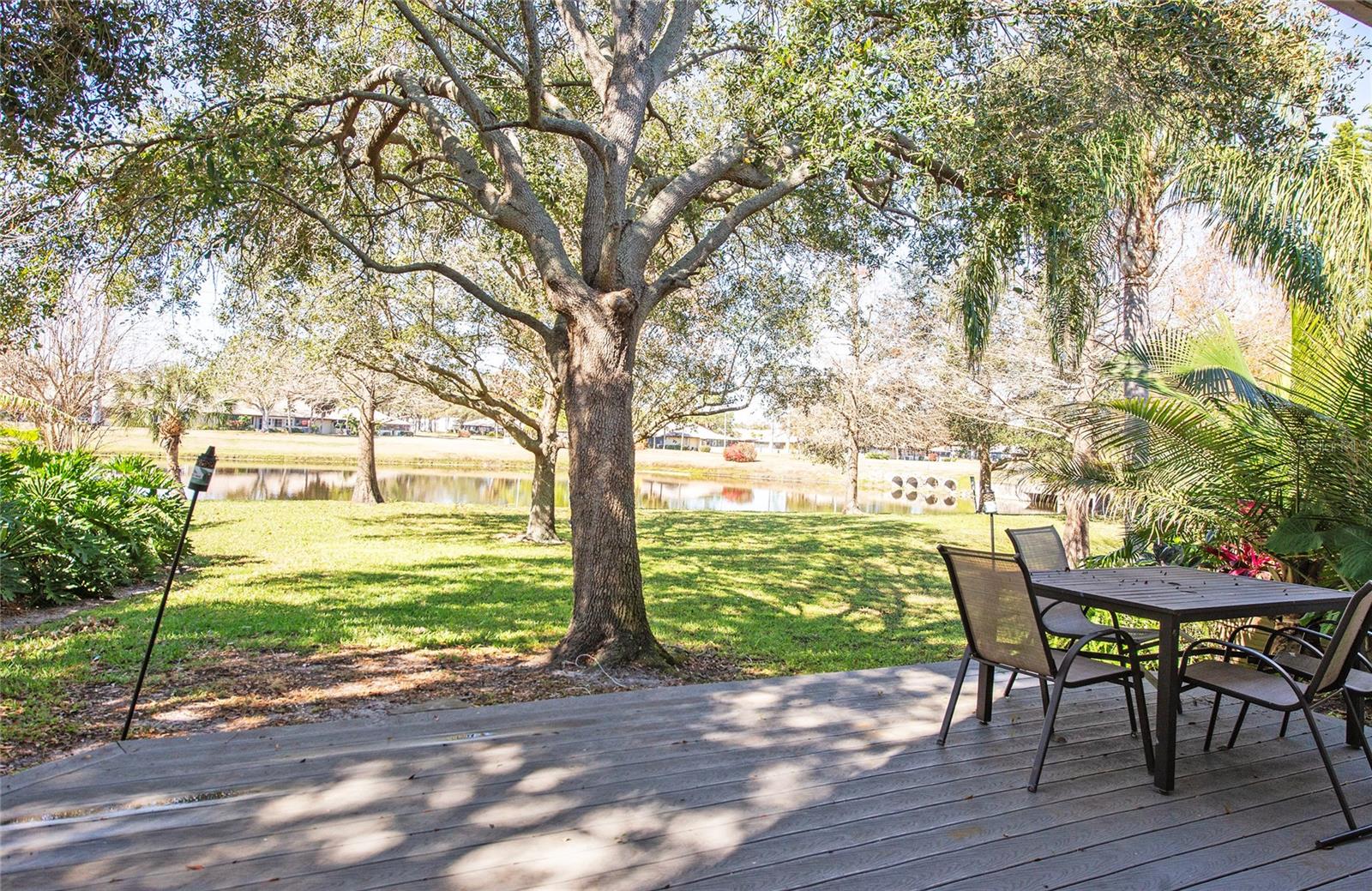 Image 45 of 50 For 1423 Water View Drive W