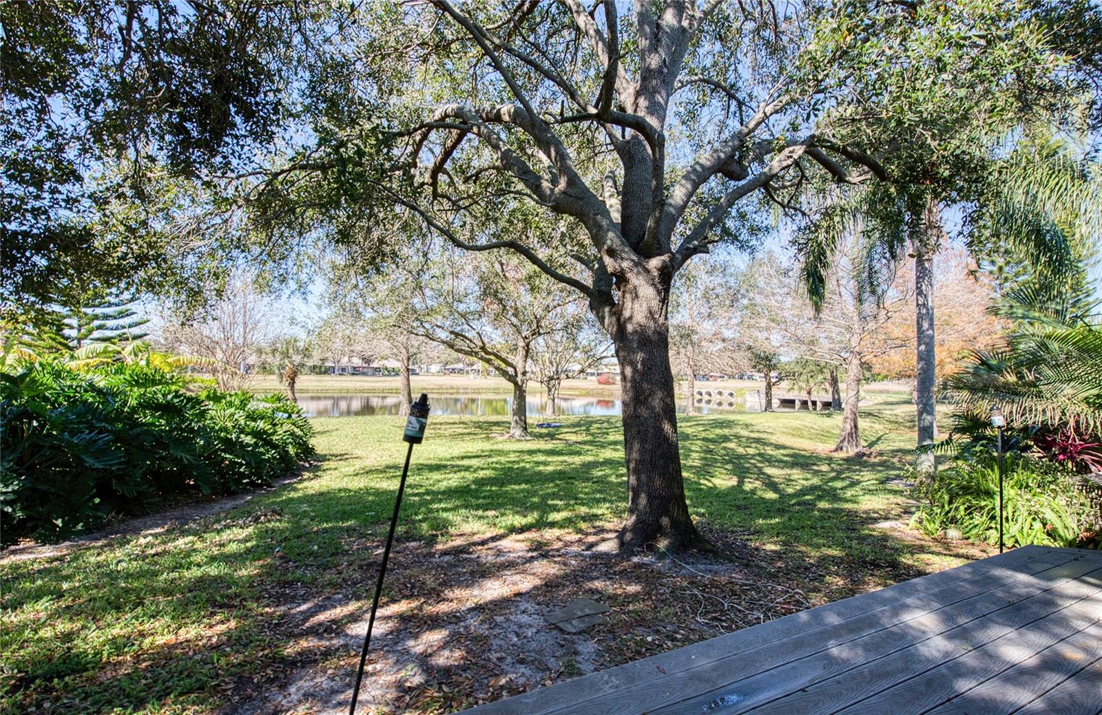 Image 46 of 50 For 1423 Water View Drive W