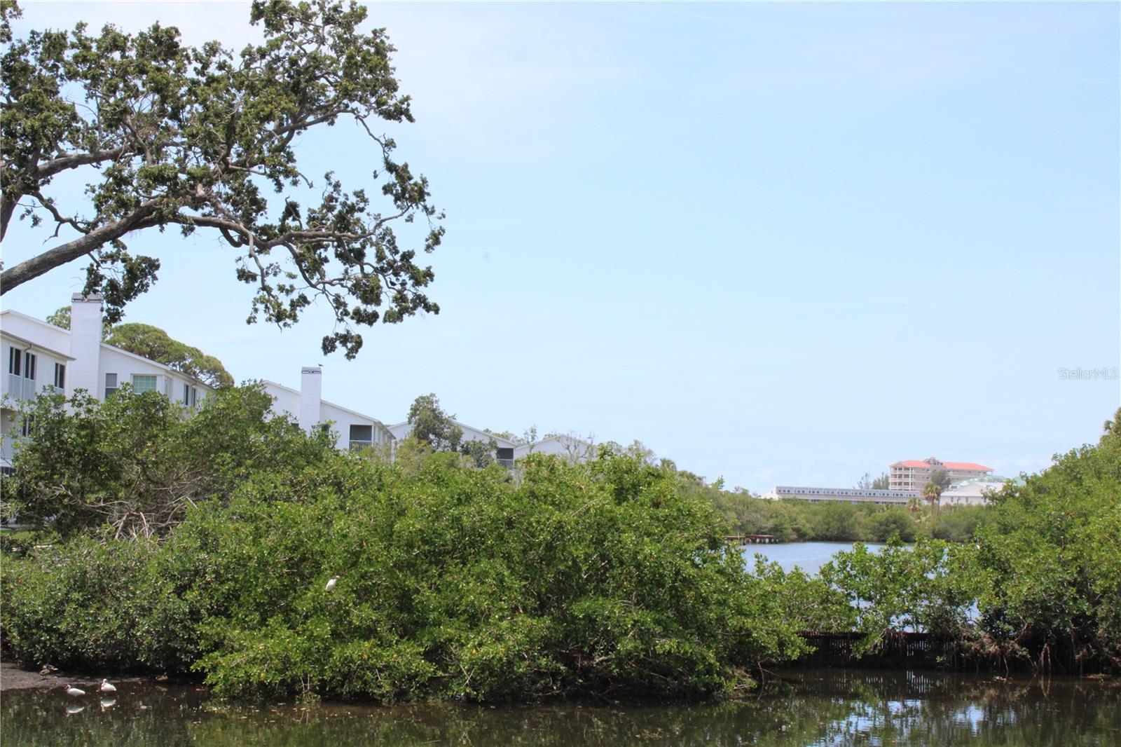 Image 57 of 65 For 9722 Indian Key Trail 116