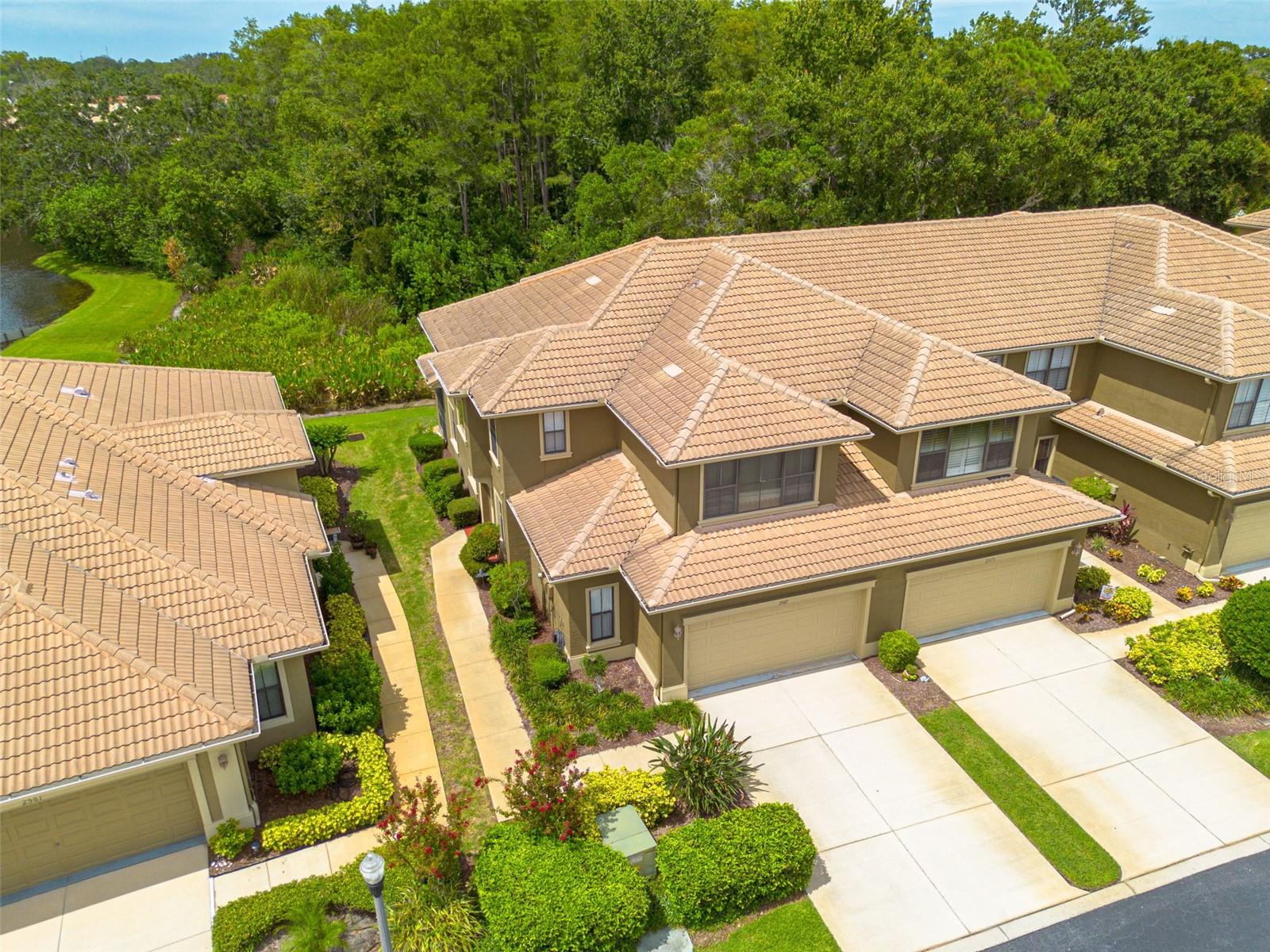 Details for 2567 Gloriosa Drive, PALM HARBOR, FL 34684